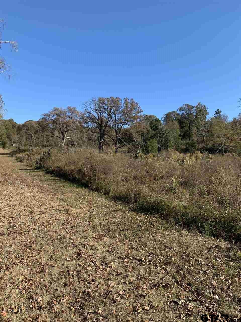 TBD CR 463 & I20, Lindale, Texas, 75771, United States, ,Land,For Sale,TBD CR 463 & I20,1673593