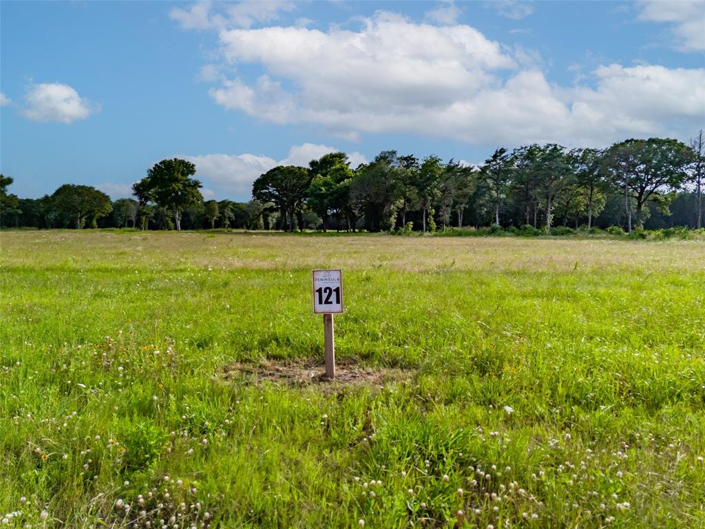 Honey Grove, Texas, 75446, United States, ,Land,For Sale,1849067