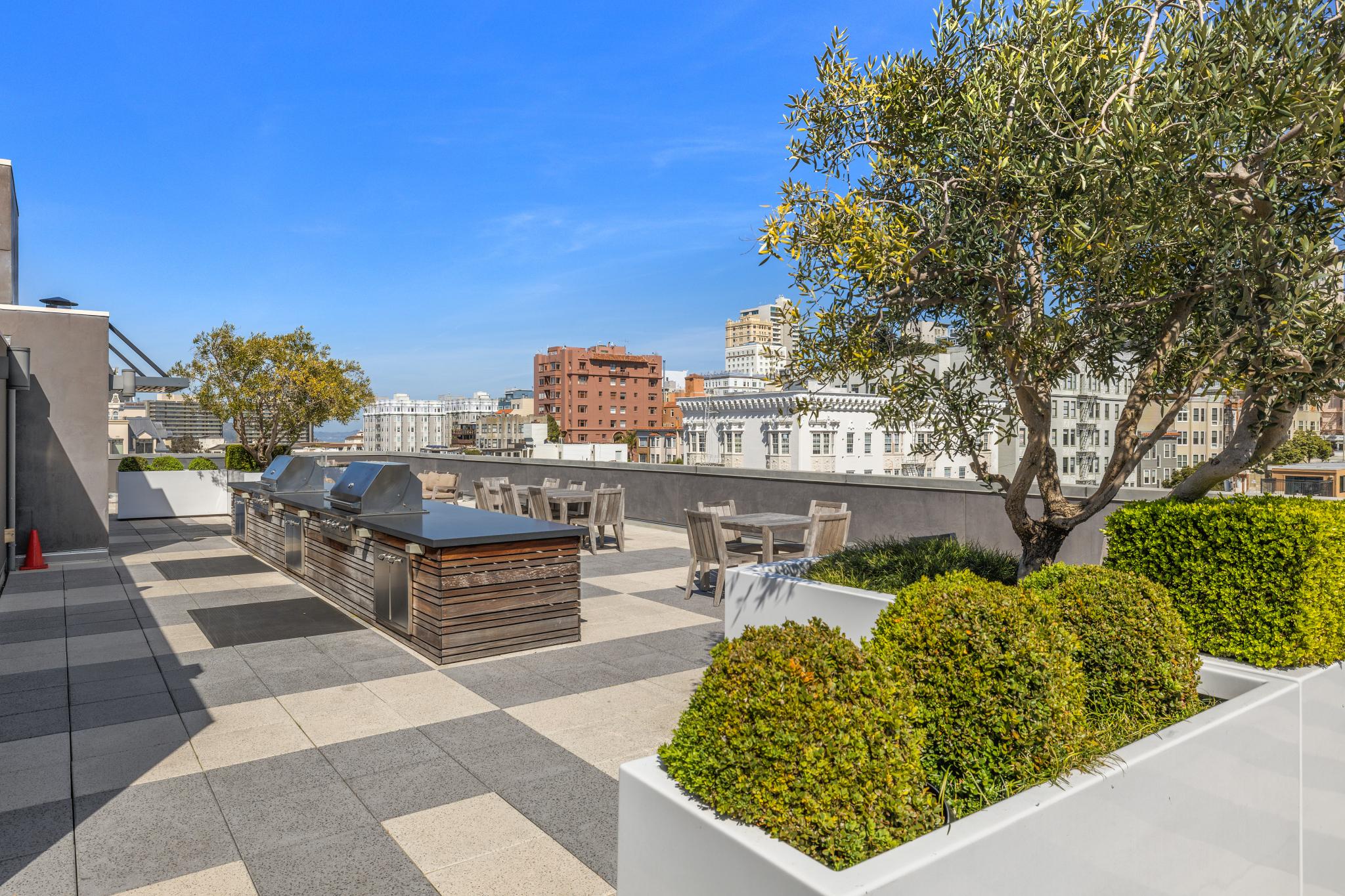  Contemporary Cow Hollow View Penthouse - 物件實景