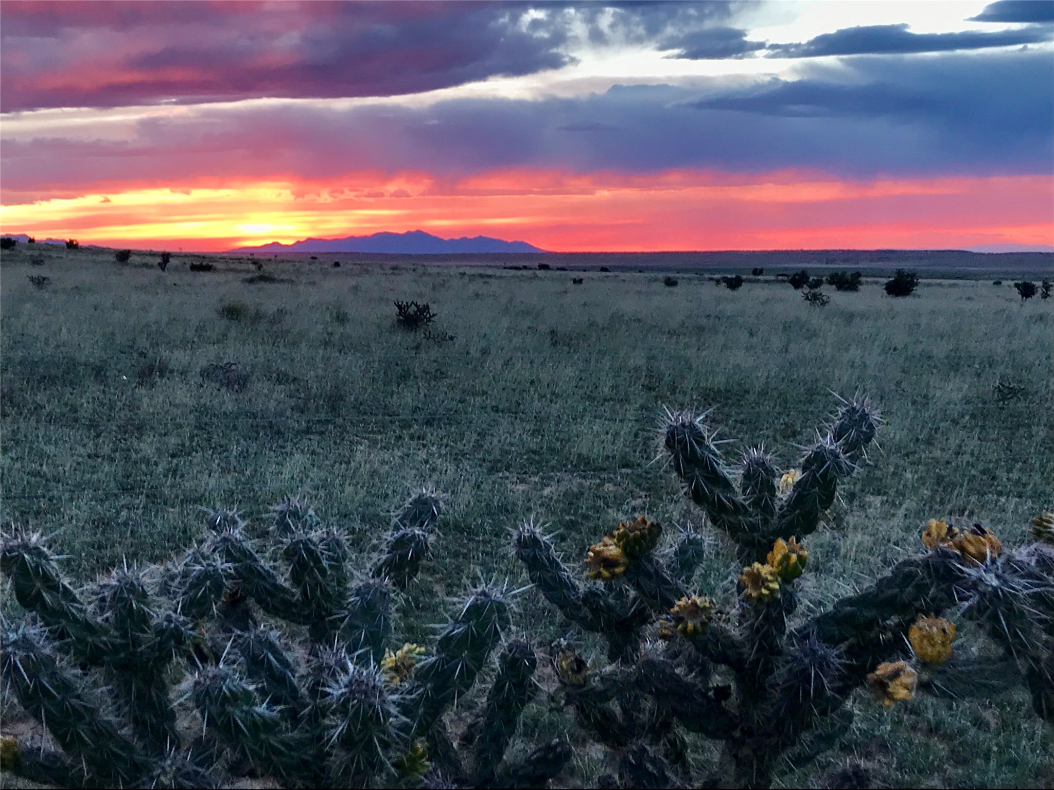 26262 US Highway 285 - 物件實景