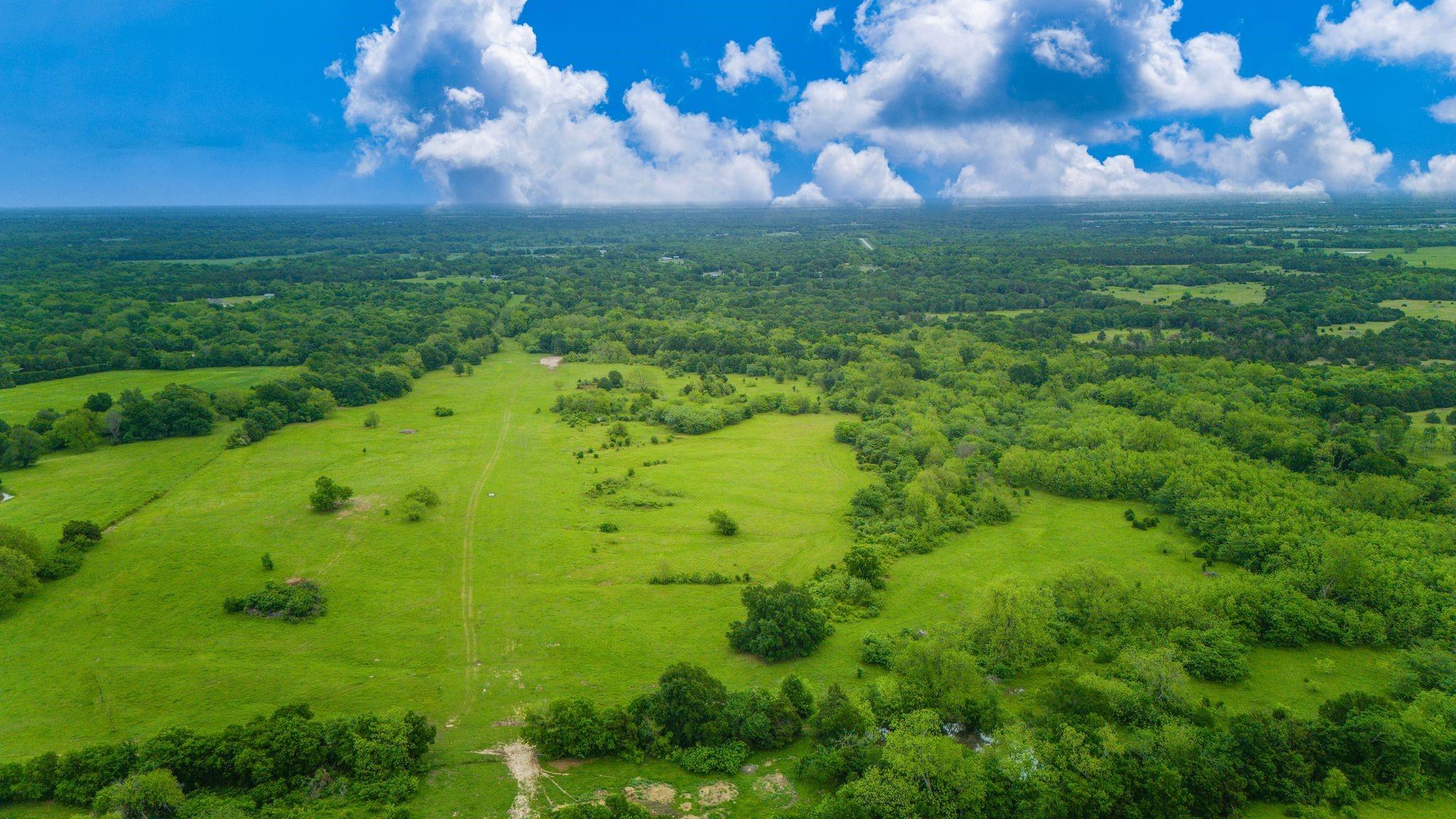 Celeste, Texas, 75423, United States, ,Land,For Sale,1977451