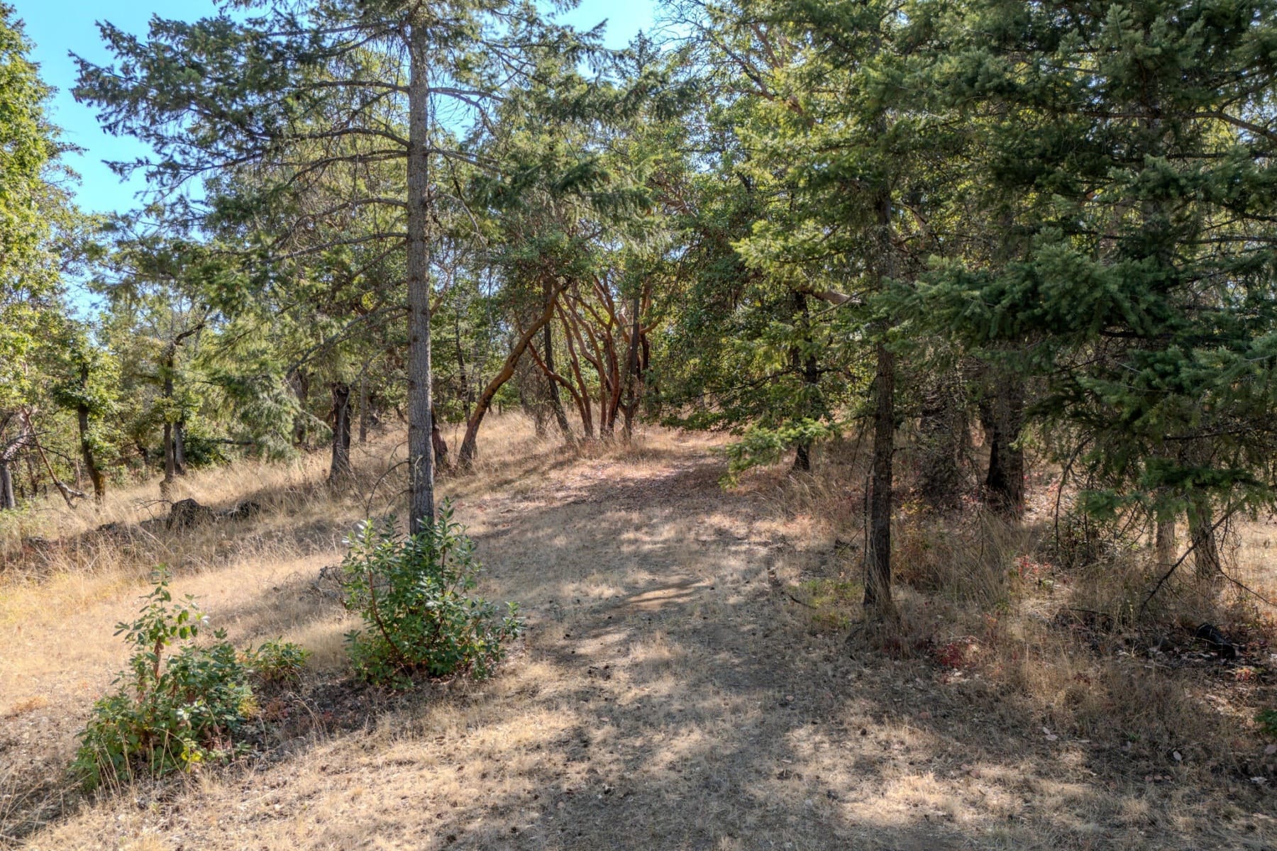  3587 S Stage Road #Lot 11 Medford, OR 97501 - 物件實景