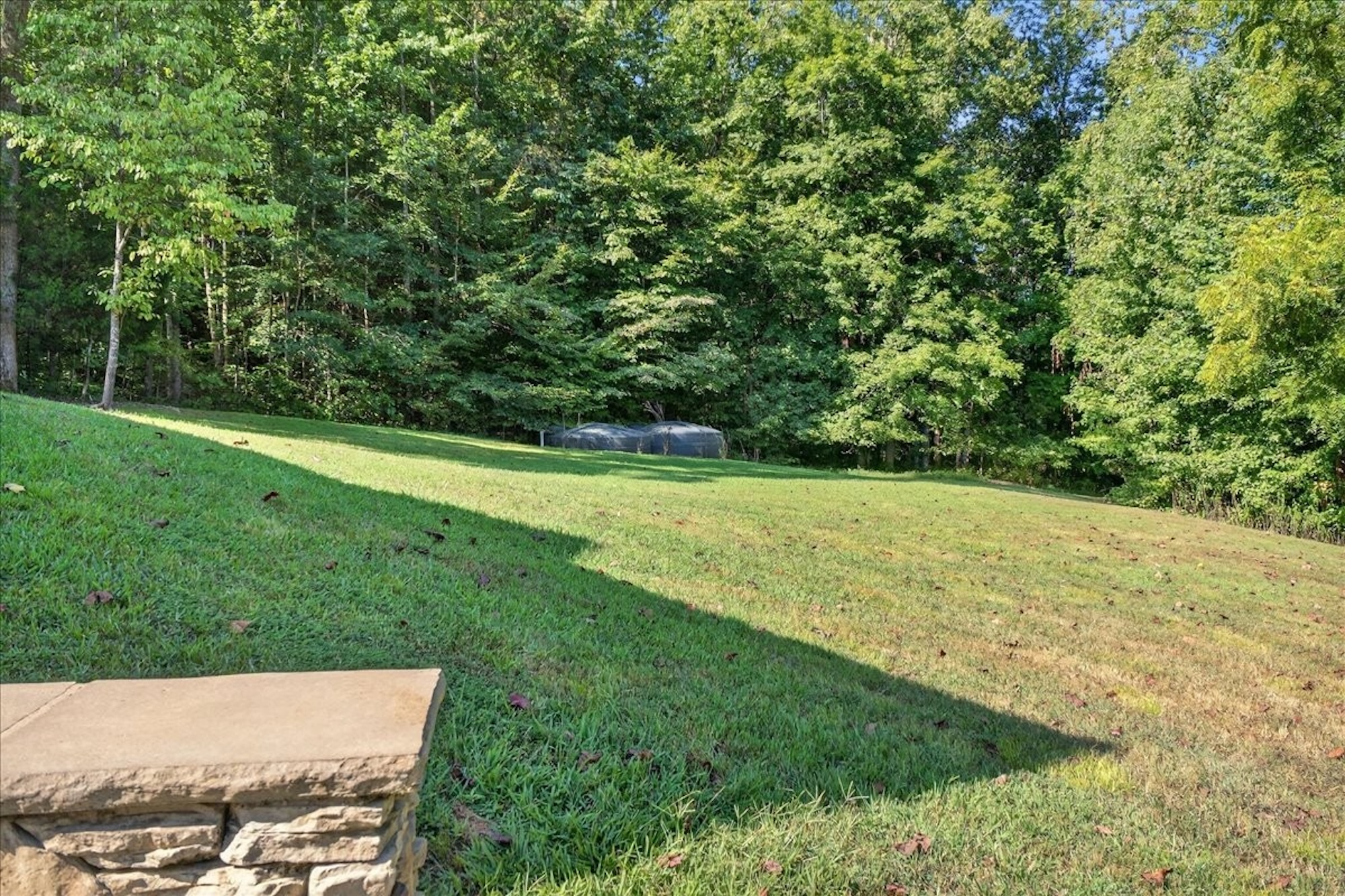  3975 Jarman Hollow Rd, Palmyra, TN, 37142 - 物件實景