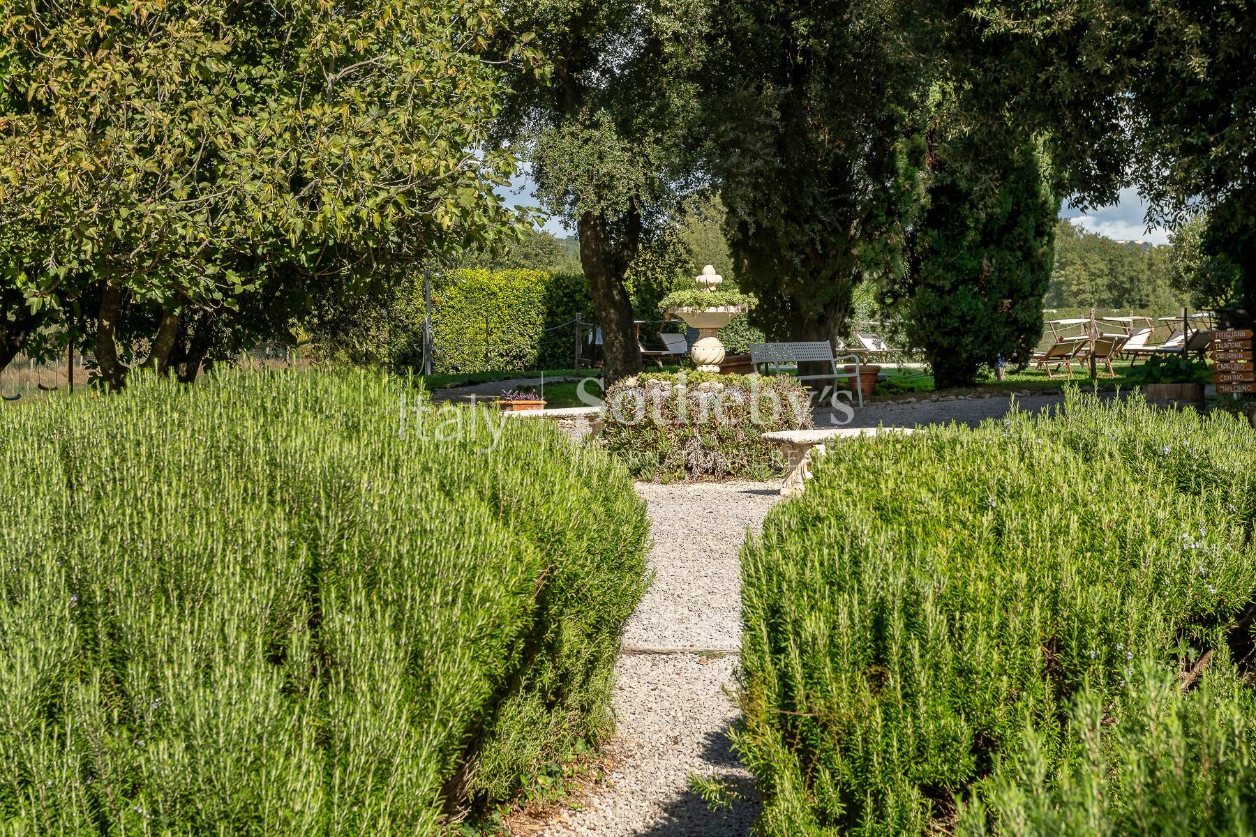  Charming Country Estate with Pool and Olive Grove in Maremma - 物件實景