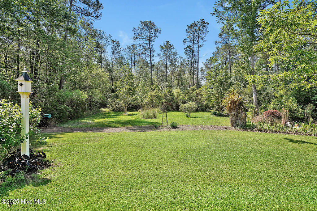 Leland, North Carolina, 28451, United States, 3 Bedrooms Bedrooms, ,3 BathroomsBathrooms,Residential,For Sale,1793854