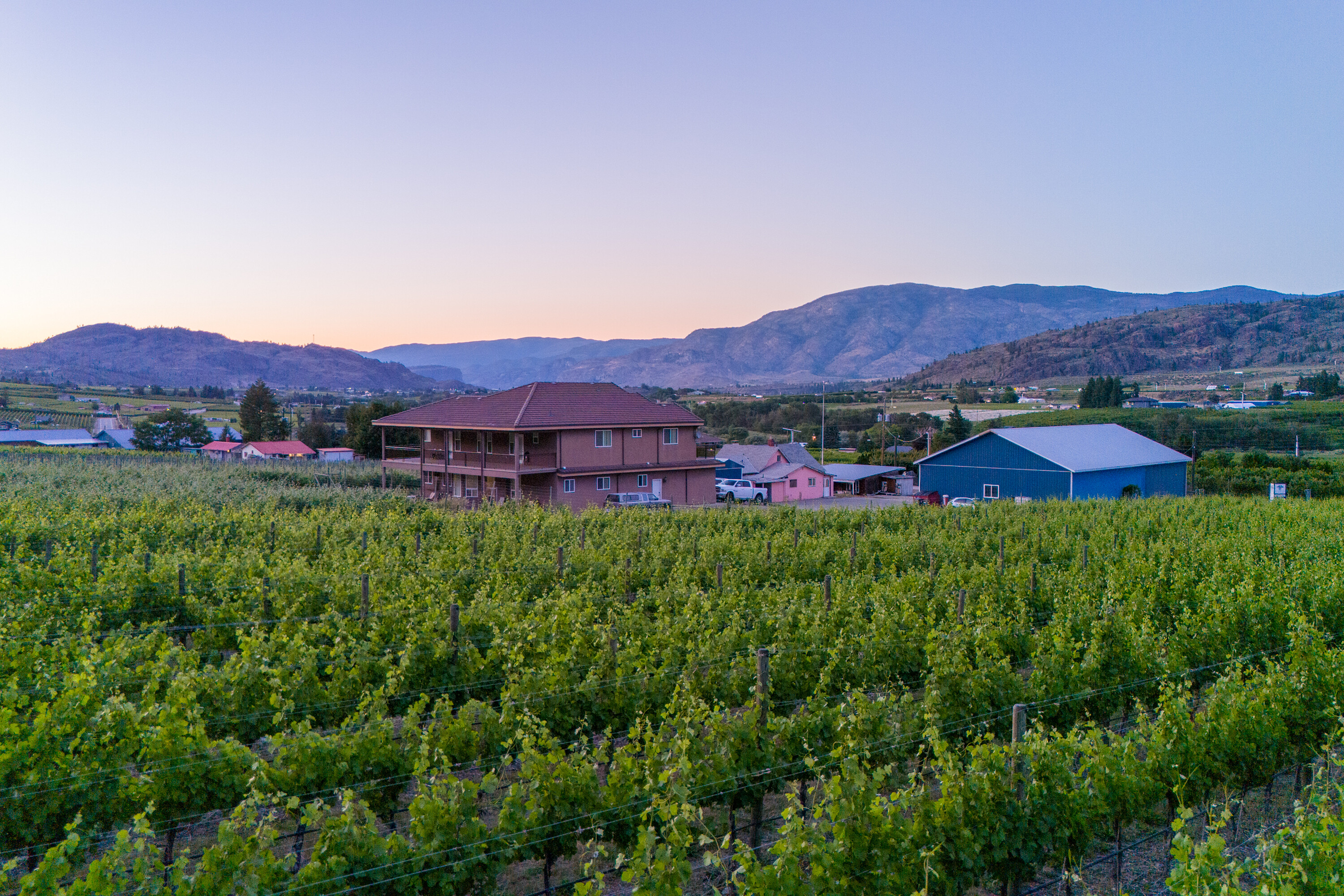  Vineyard Estate Receivership - 物件實景