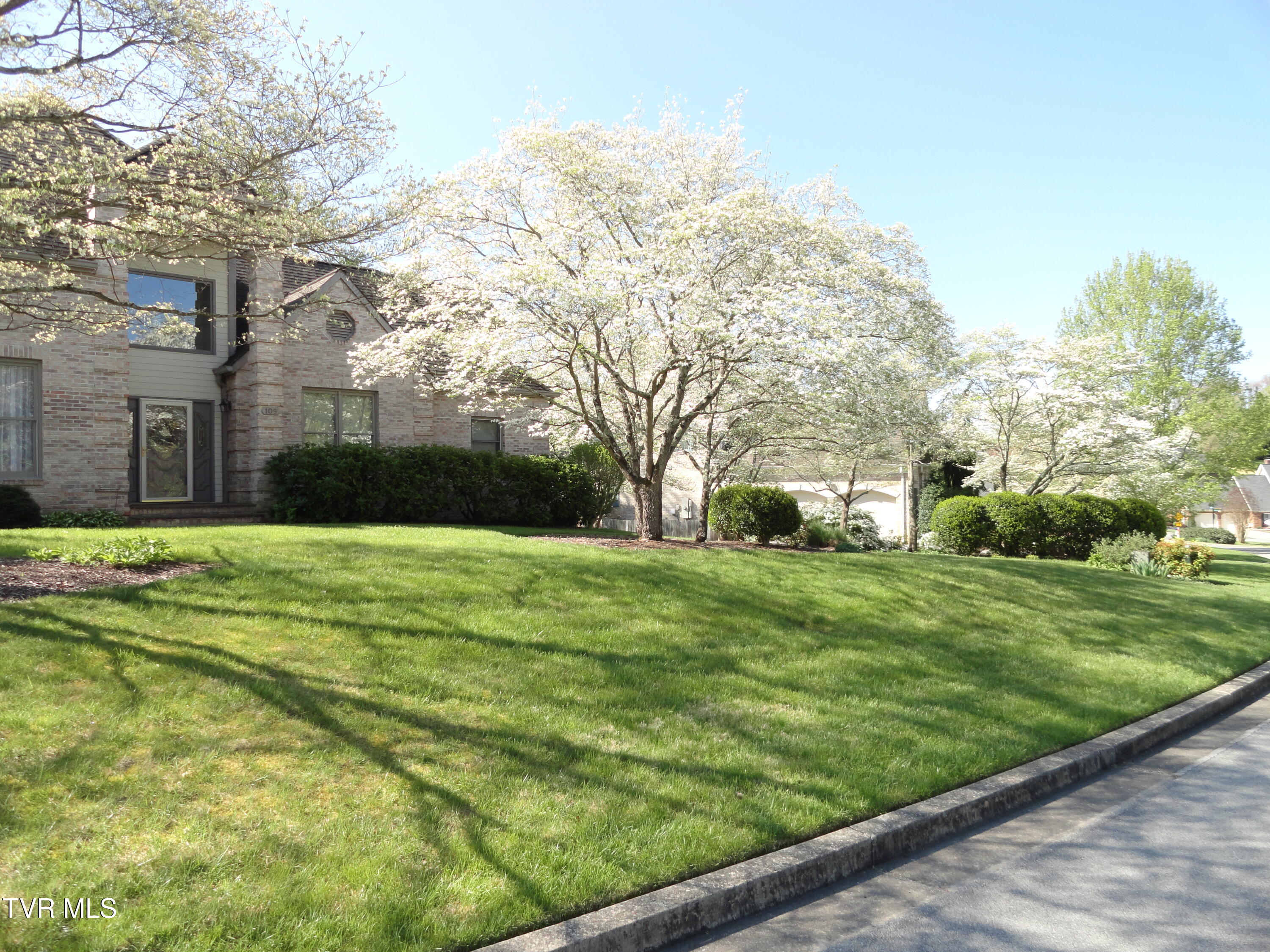 Johnson City, Tennessee, 37604, United States, 4 Bedrooms Bedrooms, ,3 BathroomsBathrooms,Residential,For Sale,1870775