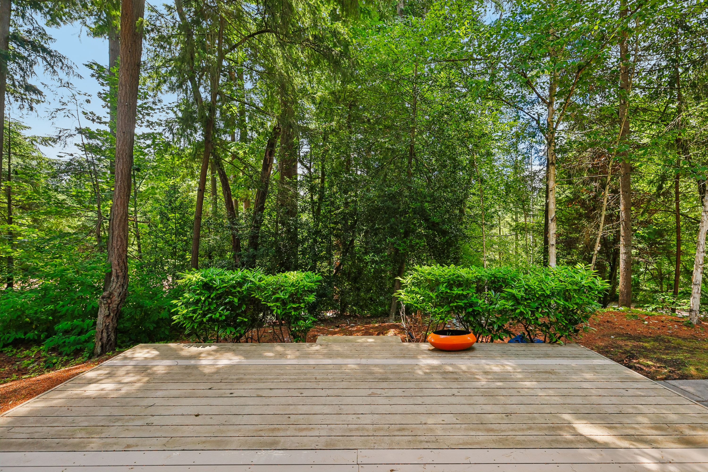  3720 131st Ave NE, Bellevue, WA 98005 - 物件實景
