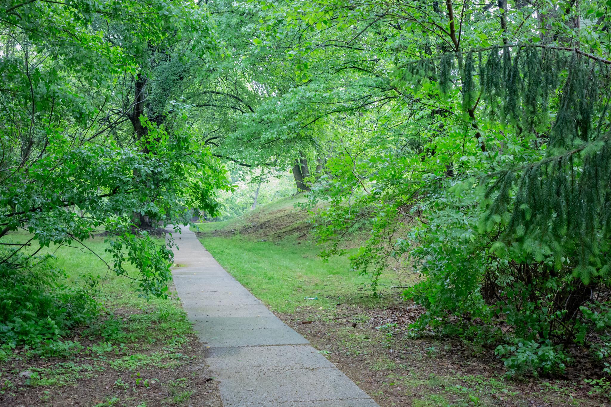  11613 Drumcastle Terrace, Germantown, MD, 20876 - 物件實景