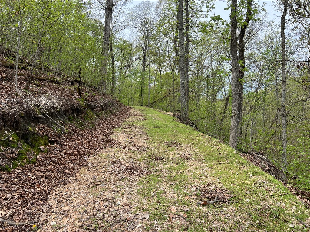Garfield, Arkansas, 72732, United States, ,Land,For Sale,1804669