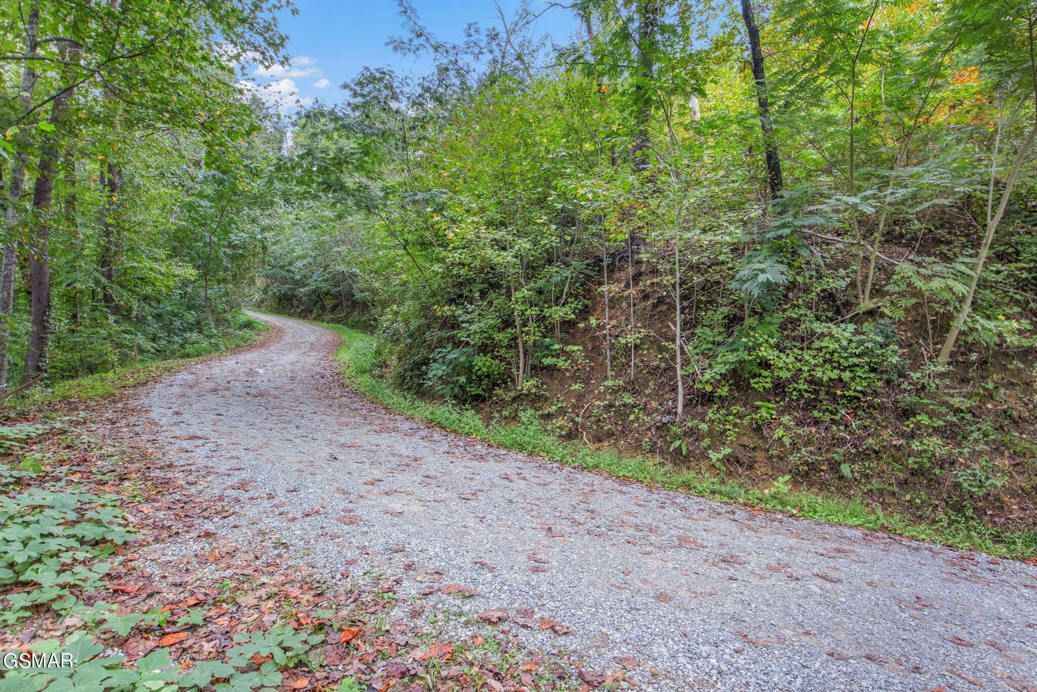 Gatlinburg, Tennessee, 37738, United States, ,Land,For Sale,1981809