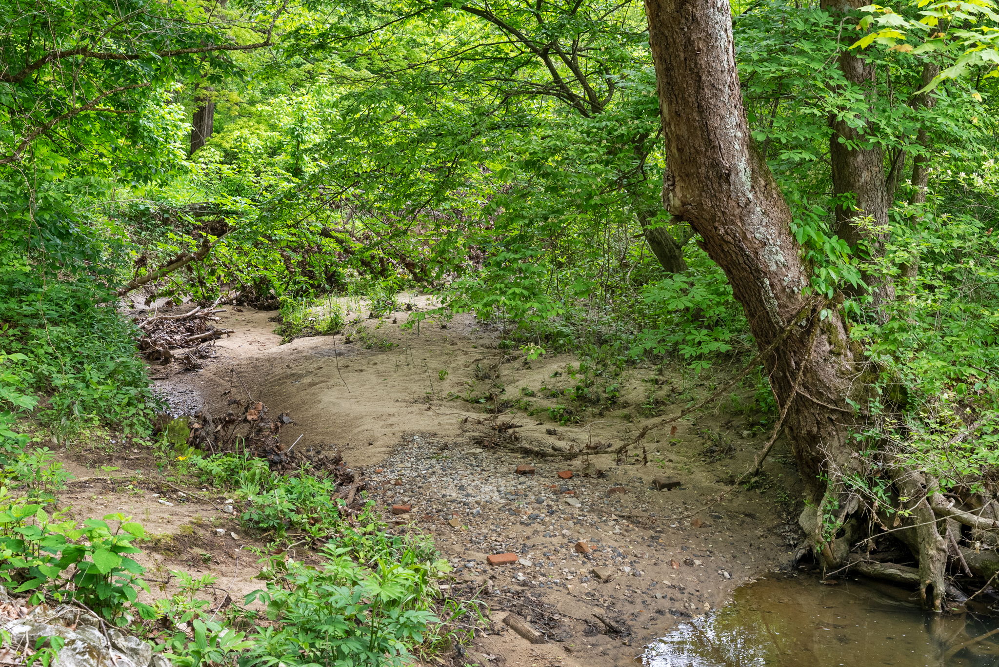 Rosedale, Indiana, 47874, United States, ,Land,For Sale,2049036