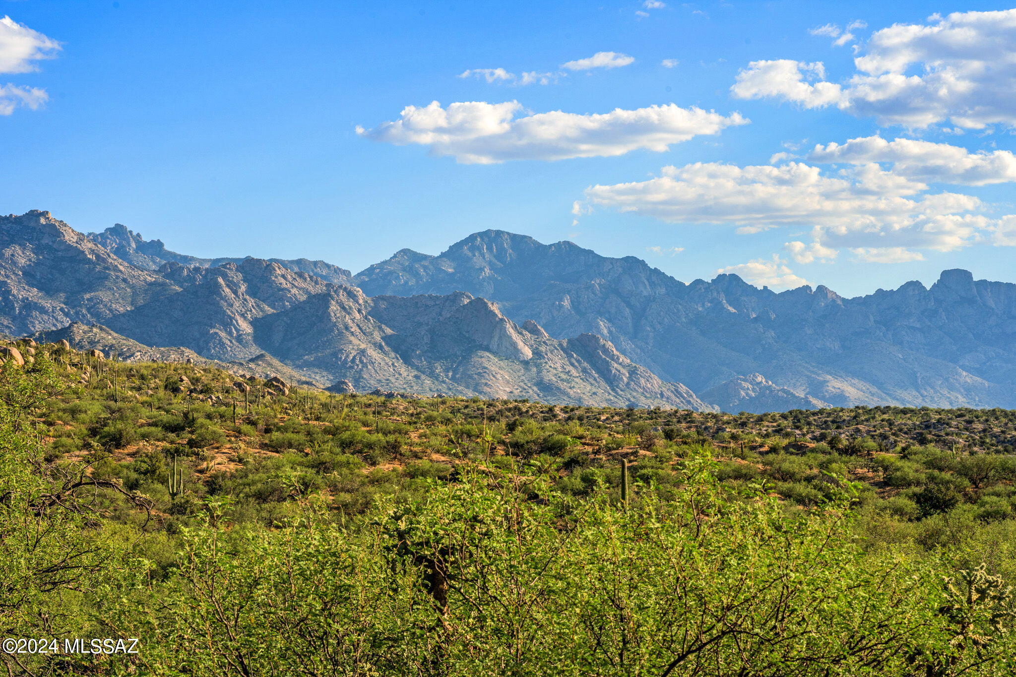 Tucson, Arizona, 85739, United States, ,Land,For Sale,1744993