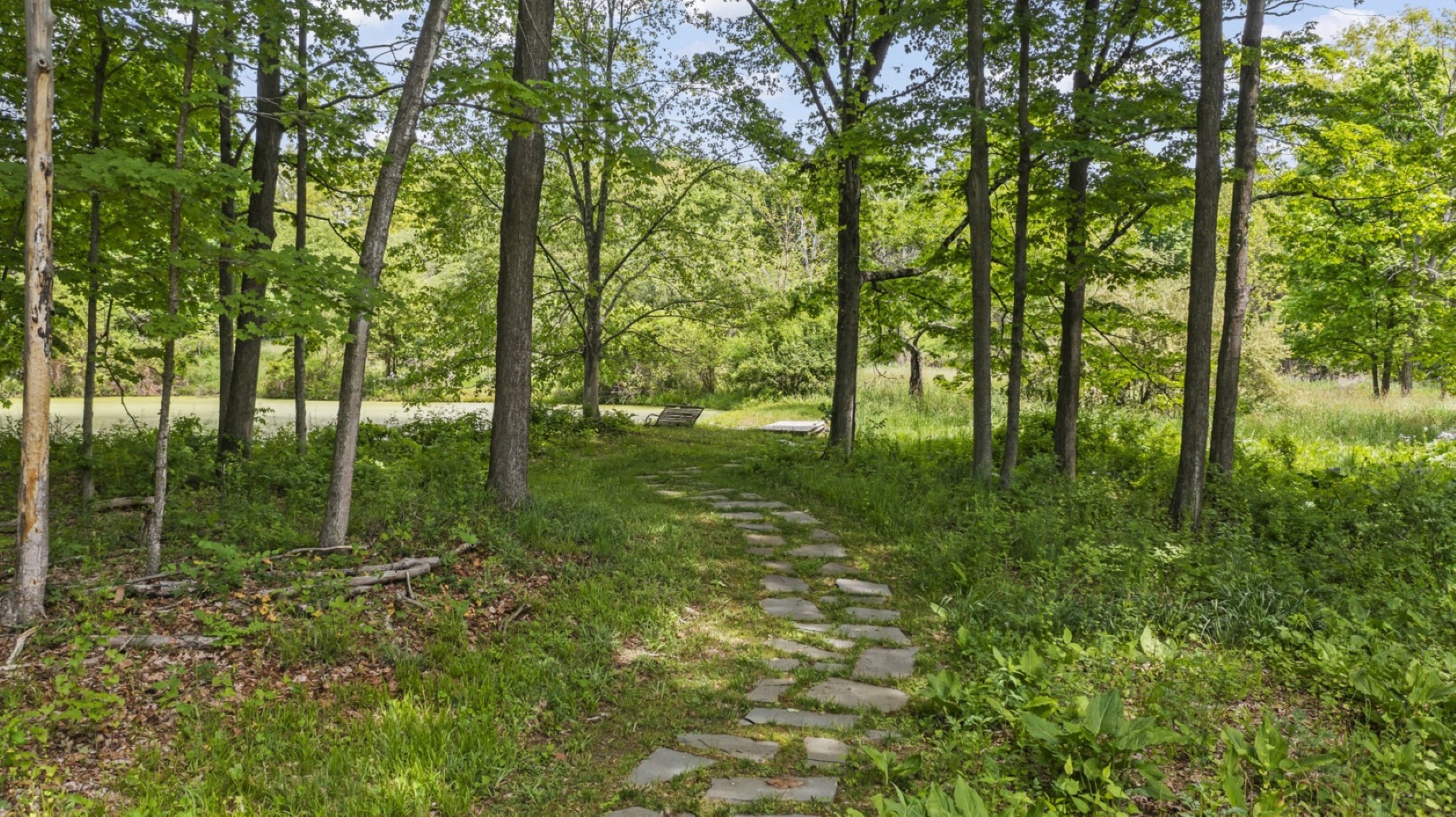  74 Willow Brook Road - 物件實景