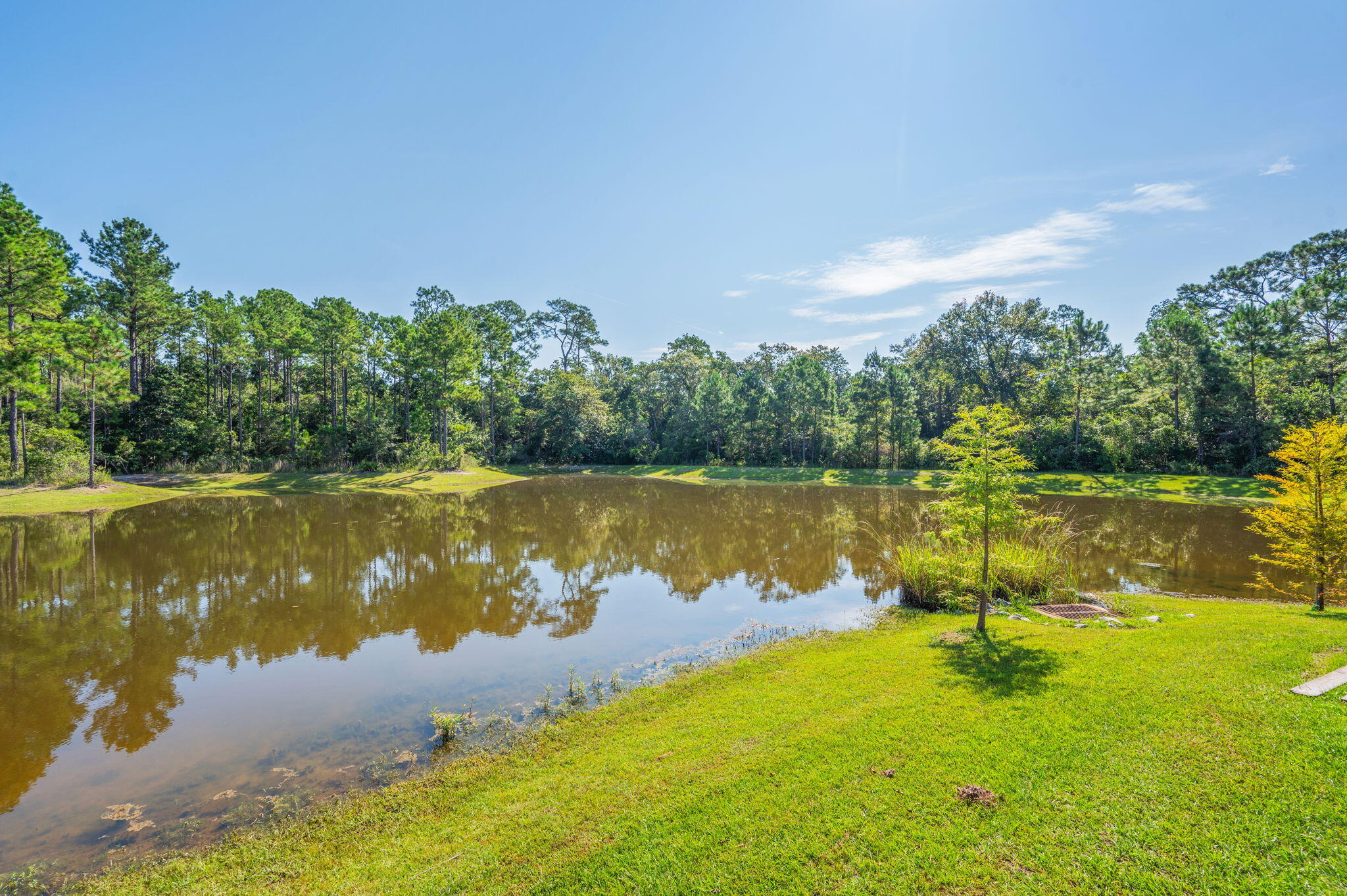 Freeport, Florida, 32439, United States, 4 Bedrooms Bedrooms, ,3 BathroomsBathrooms,Residential,For Sale,1926490