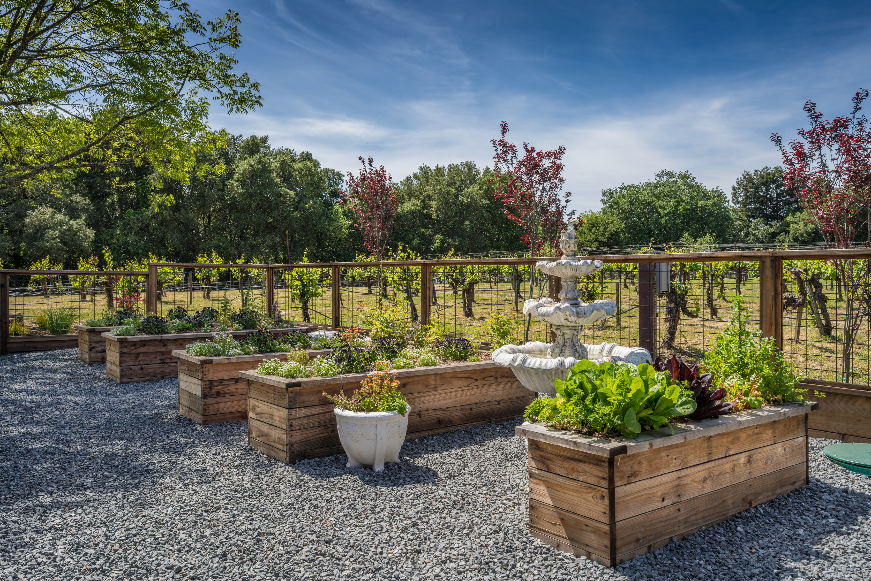  20760 Hyde Road - 物件實景