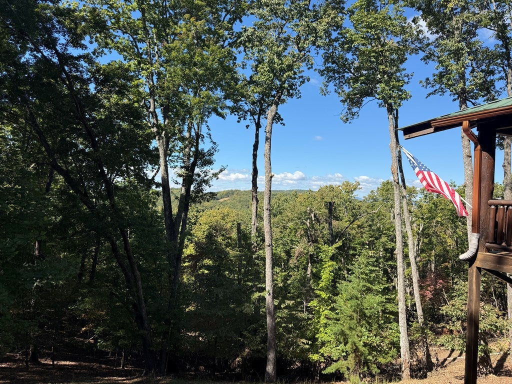 Morganton, Georgia, 30560, United States, 3 Bedrooms Bedrooms, ,3 BathroomsBathrooms,Residential,For Sale,2001916