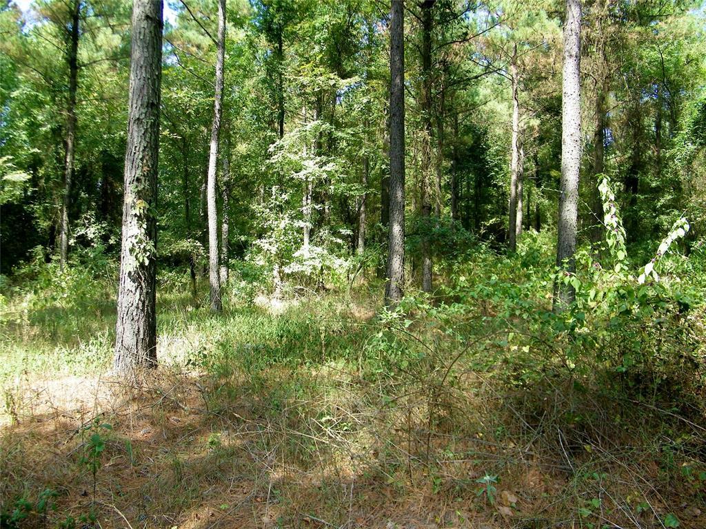 Broken Bow, Oklahoma, 74728, United States, ,Residential,For Sale,1979541