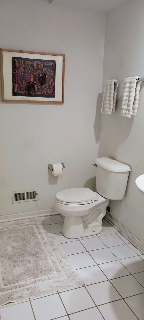 Chicago, Illinois, 60615, United States, 3 Bedrooms Bedrooms, ,3 BathroomsBathrooms,Residential,For Sale,2034443