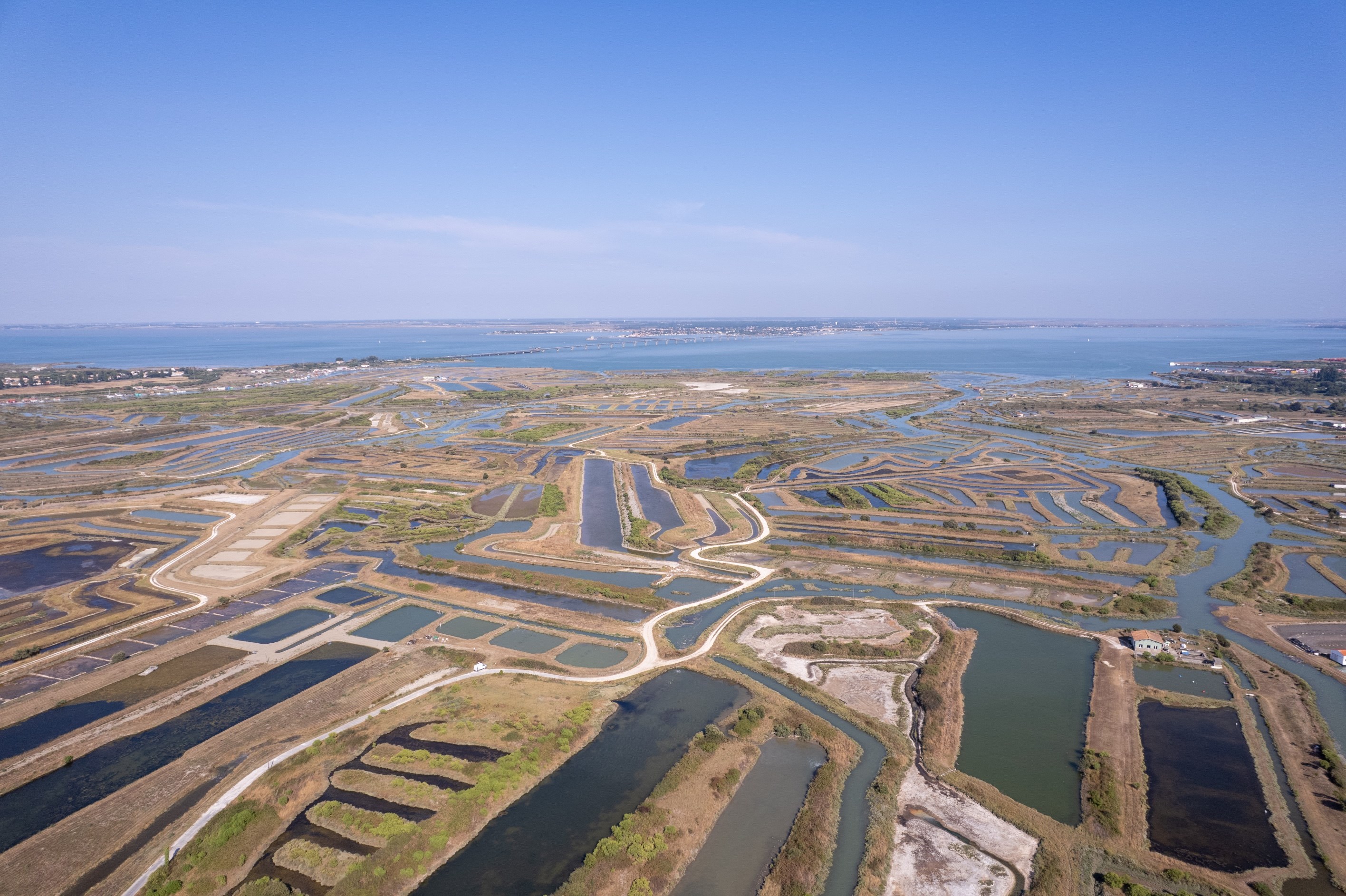  Between marshland and light, a haven of serenity on the Île d