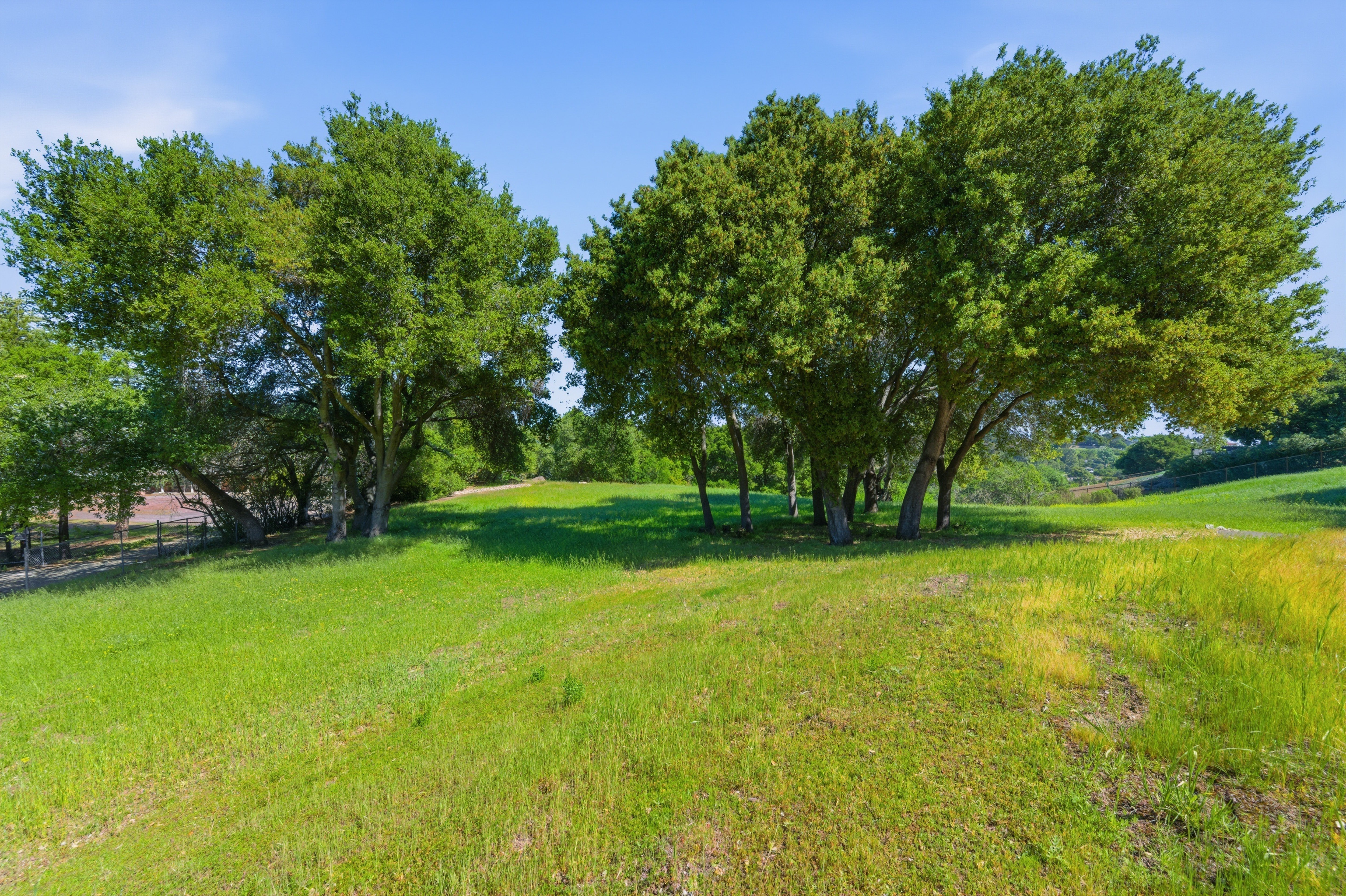  More Than 2.7 Acres of Privacy and Potential with Palo Alto Schools - 物件實景