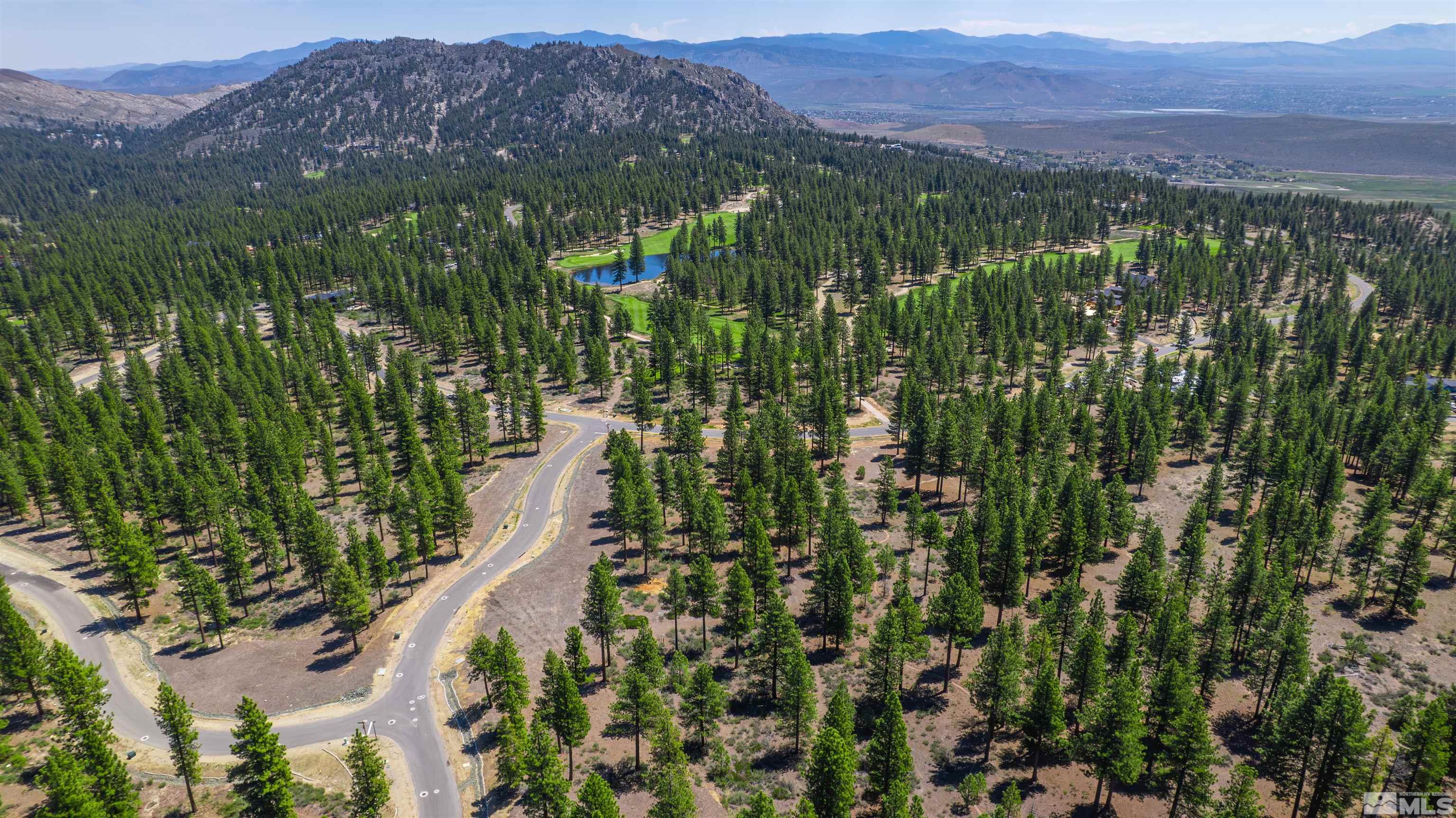 Carson City, Nevada, 89705, United States, ,Land,For Sale,1826407