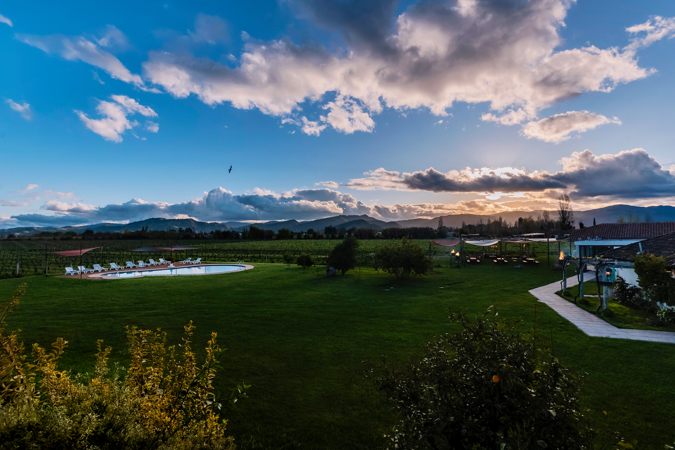  Chilean colonial-style mansion in a 3.3-hectare vineyard in Santa Cruz. - 物件實景