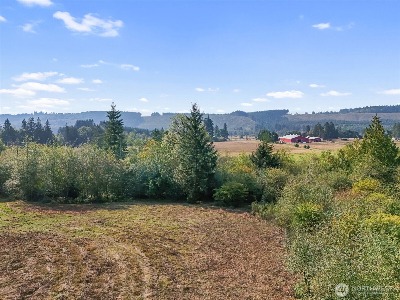 Onalaska, Washington, 98570, United States, ,Land,For Sale,1994245