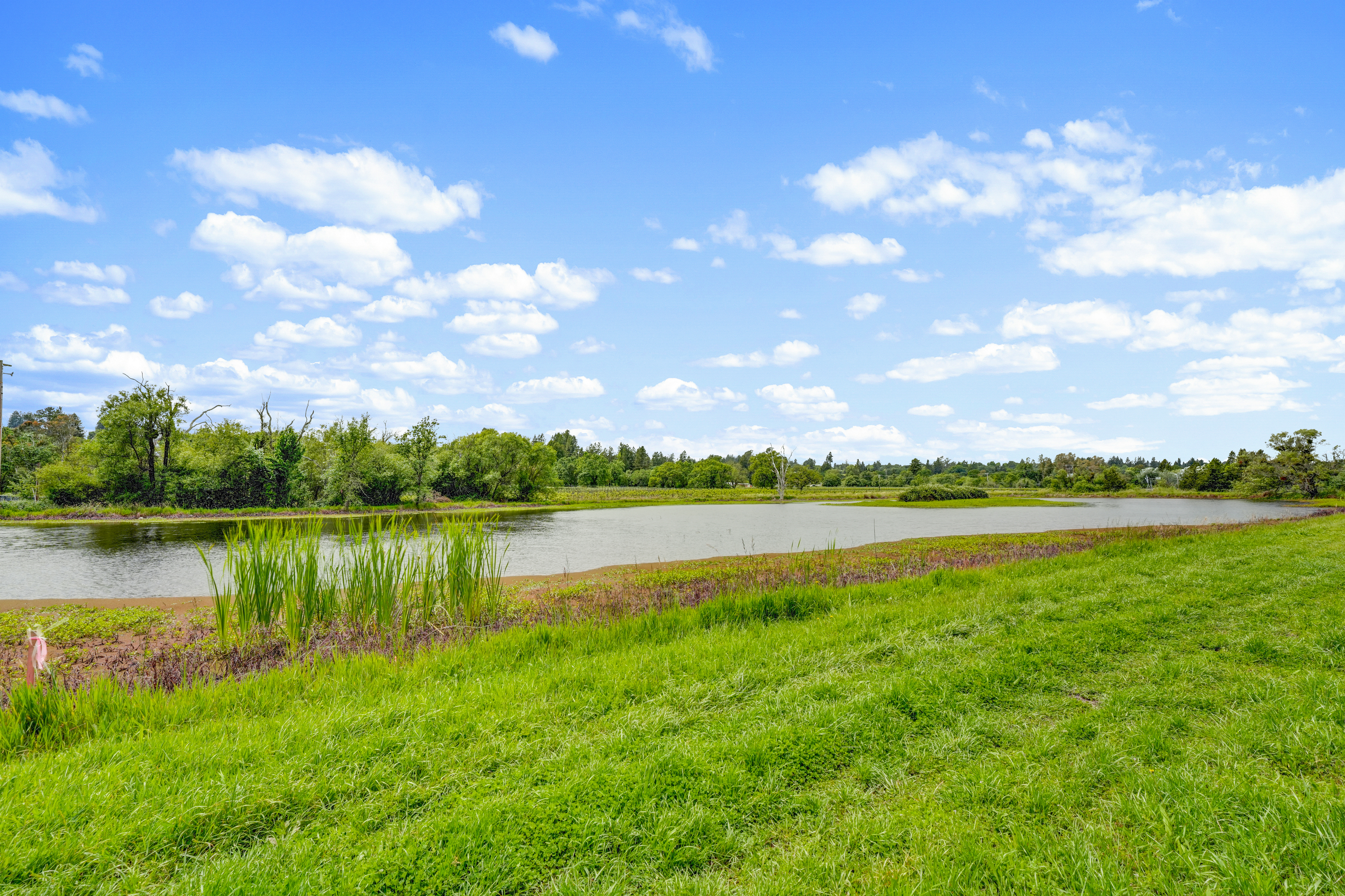  9700 Mill Station Road, Sebastopol, CA 95472 - 物件實景