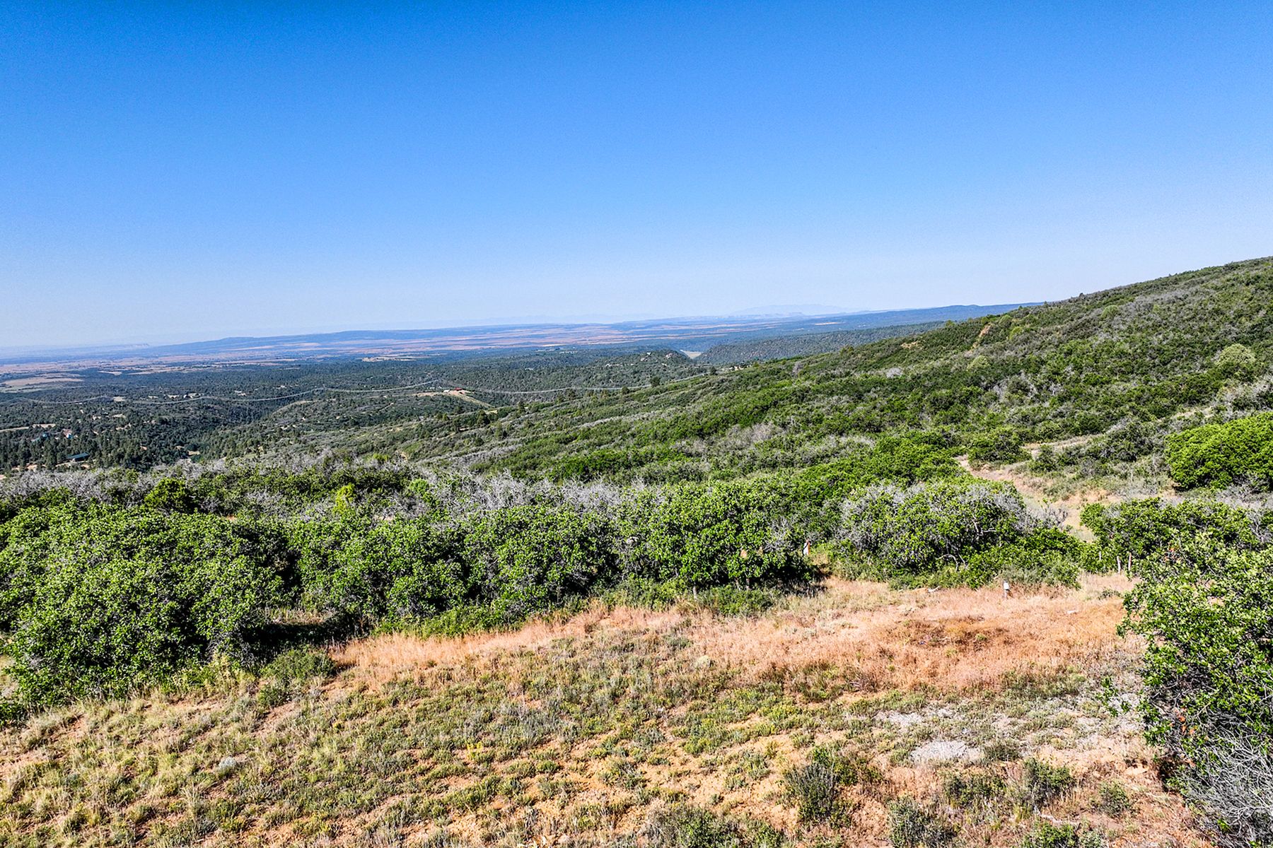  TBD Cross Creek Road, Hesperus, CO 81326 - 物件實景
