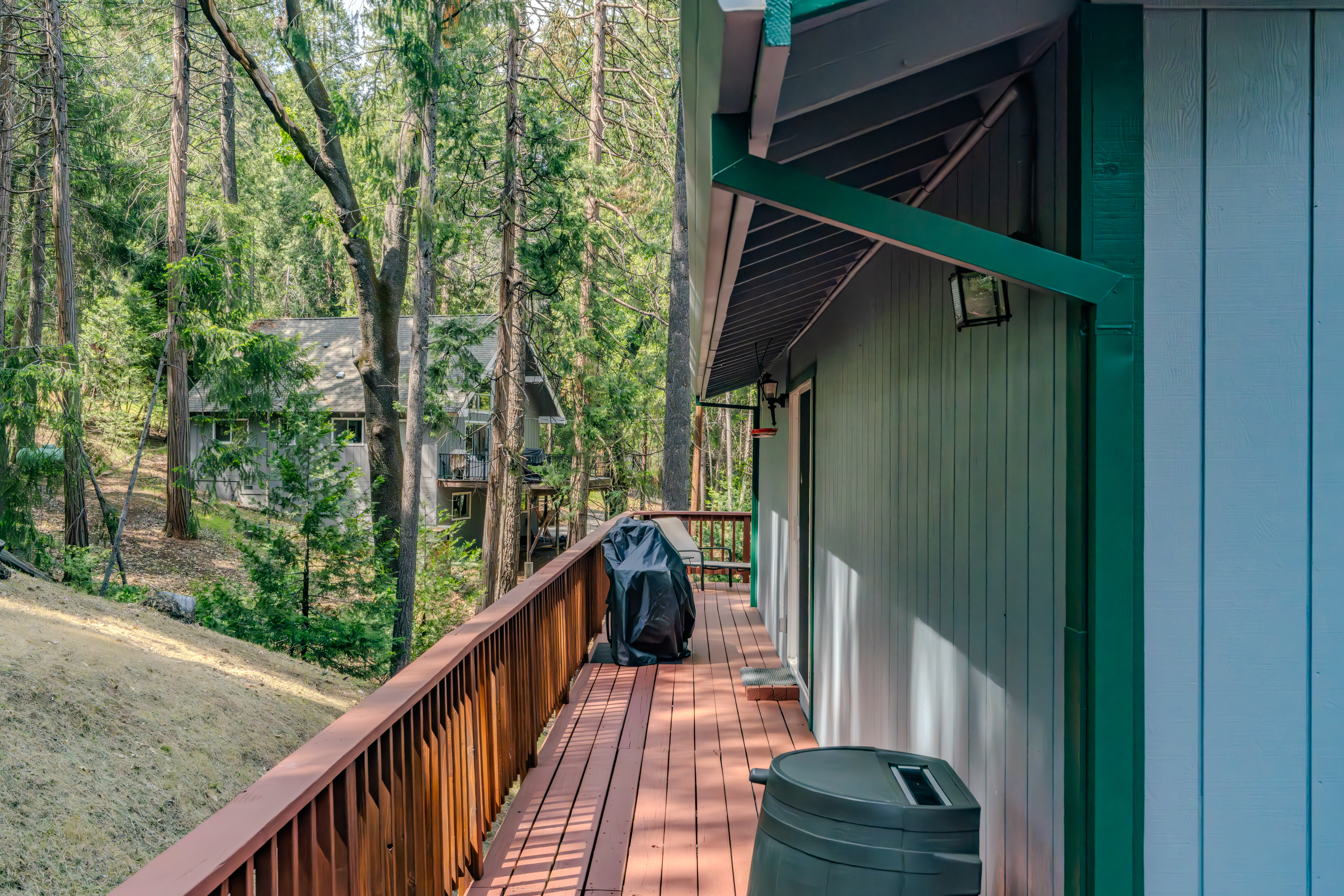  16775 Silver Drive South, Pioneer, CA 95666 - 物件實景