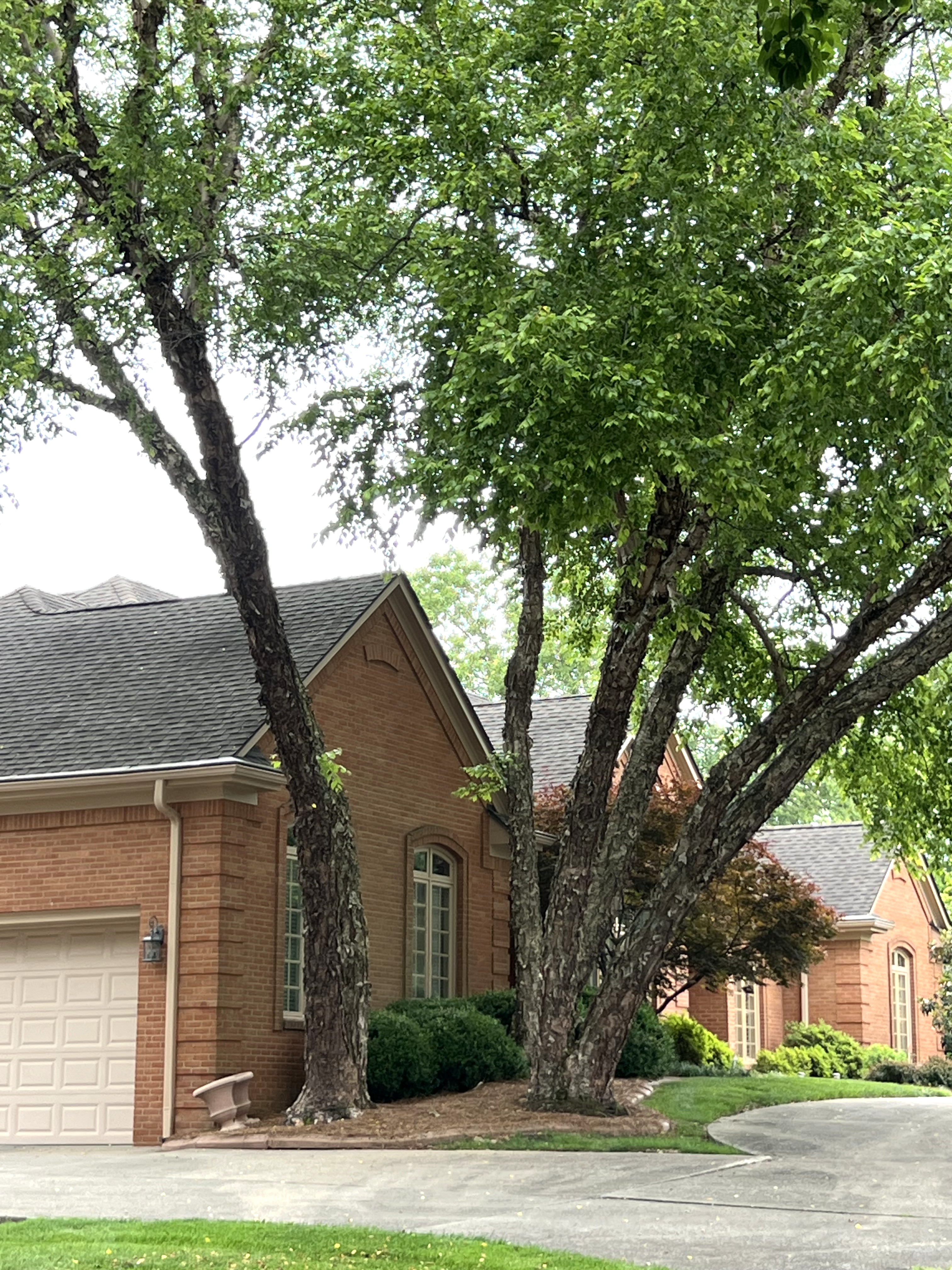 Frankfort, Kentucky, 40601, United States, 5 Bedrooms Bedrooms, ,4 BathroomsBathrooms,Residential,For Sale,1983551