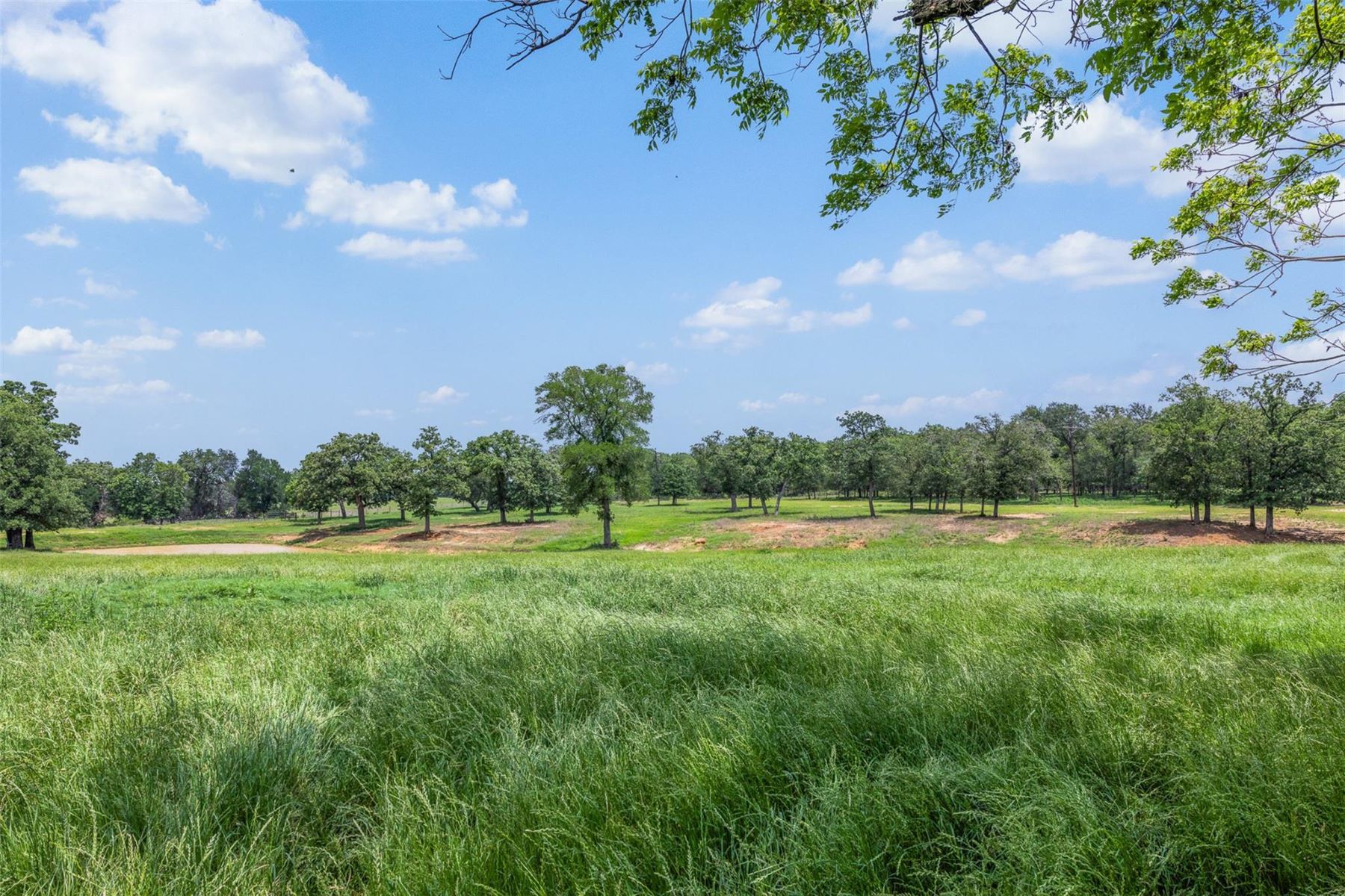  1016 County Road 306, Rockdale, TX 76567 - 物件實景