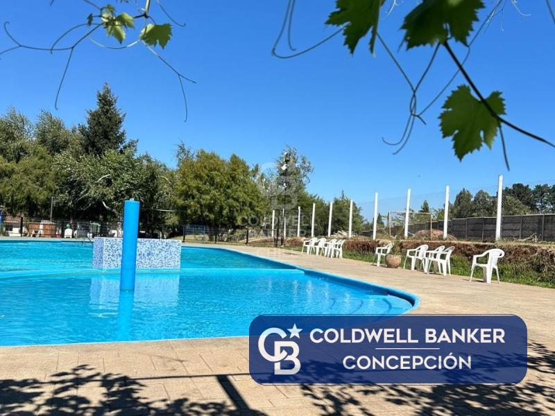 Quillón, Chile, ,Residential,For Sale,1796909