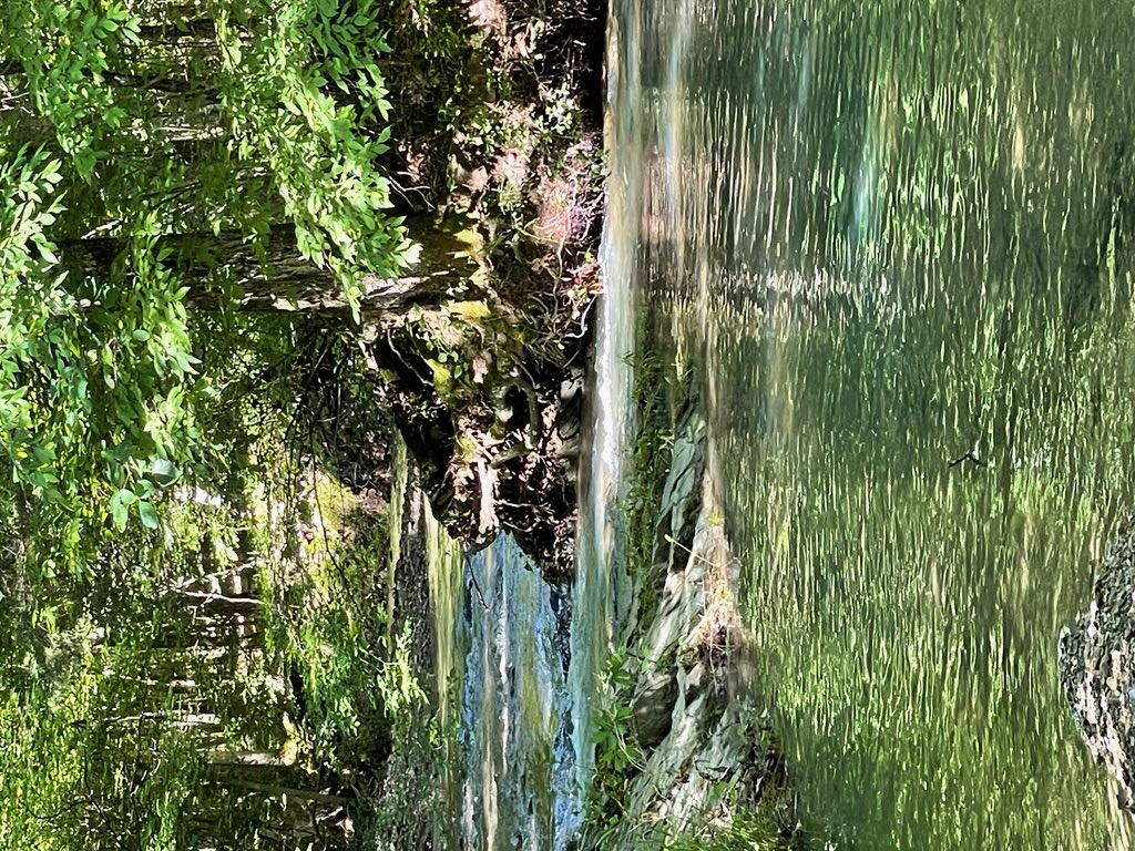 Mena, Arkansas, 71953, United States, 3 Bedrooms Bedrooms, ,3 BathroomsBathrooms,Residential,For Sale,1979119