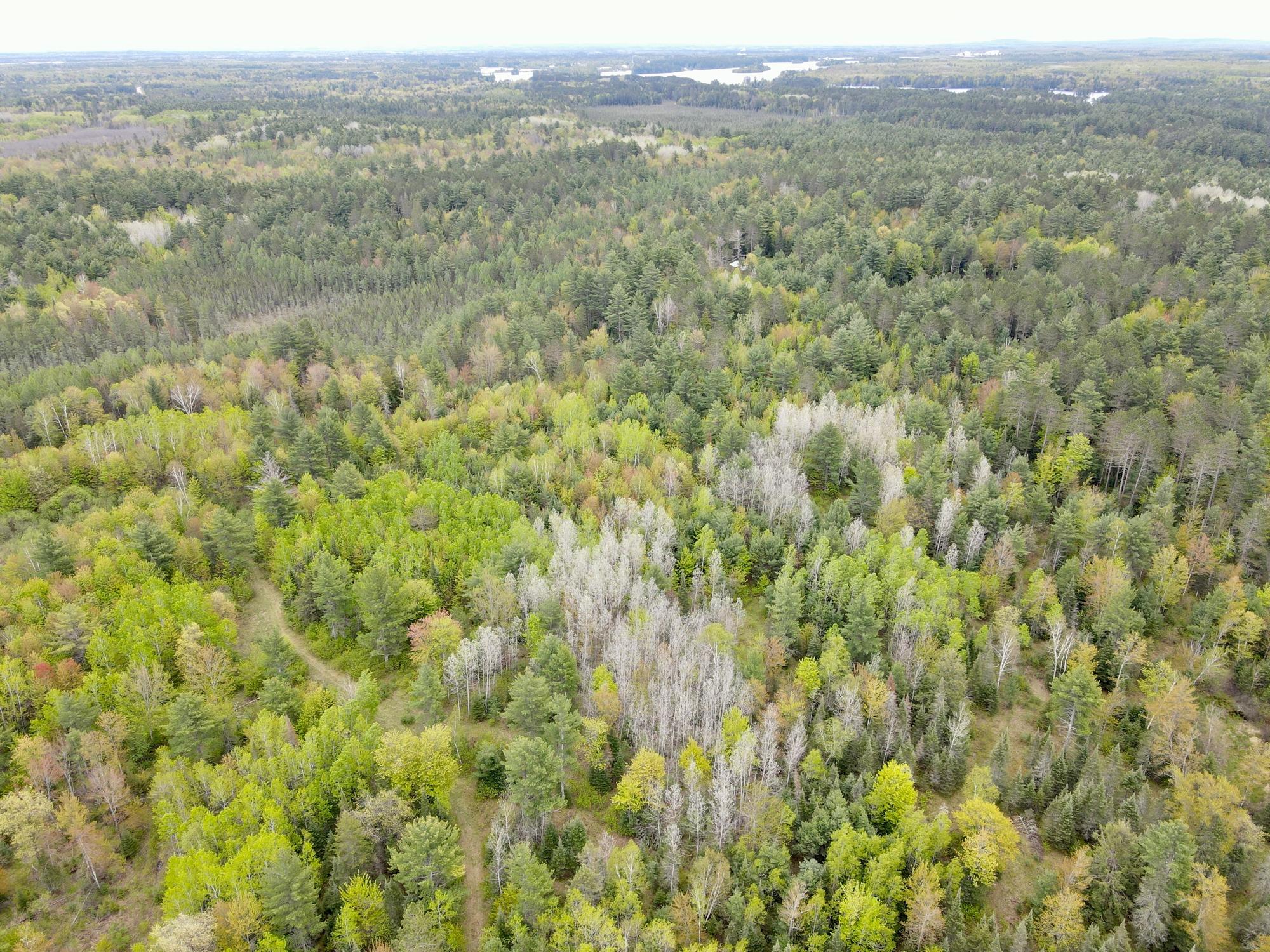 Tomahawk, Wisconsin, 54487, United States, 2 Bedrooms Bedrooms, ,2 BathroomsBathrooms,Residential,For Sale,1923926
