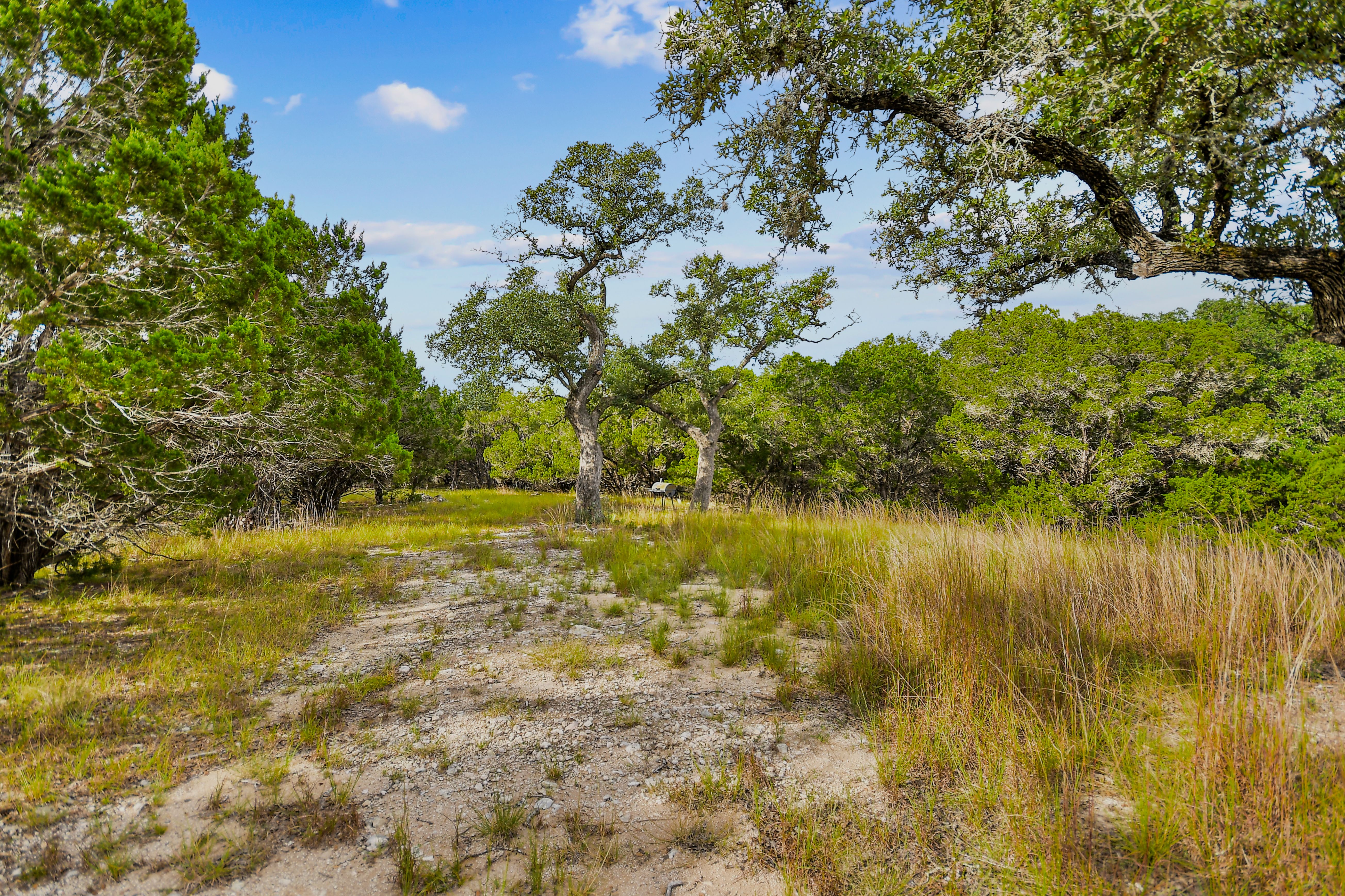  TBD Hwy 46 / Madrona Ranch Road, Pipe Creek, TX 78063 - 物件實景