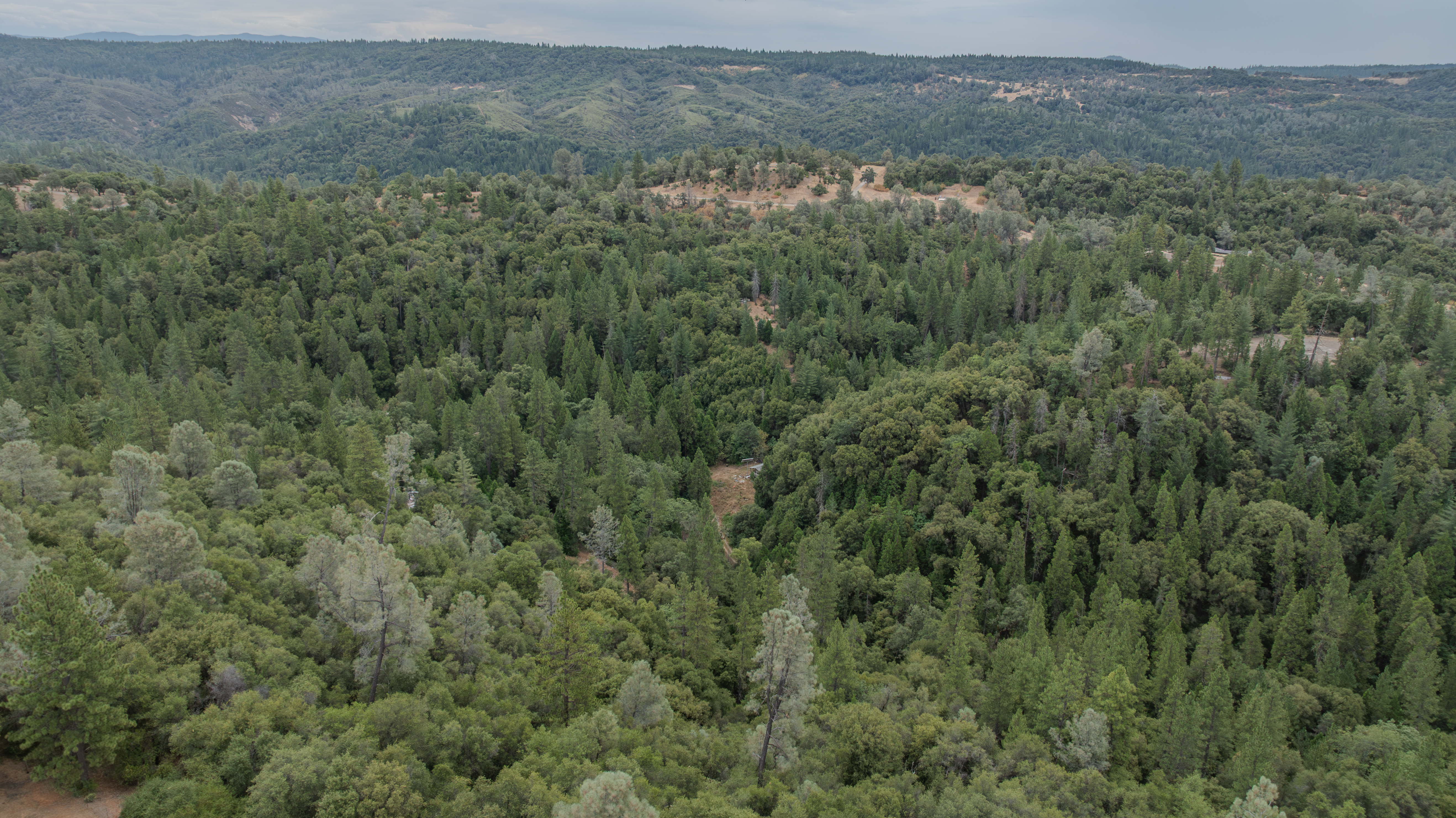  18101 Old River Road, Fiddletown, CA 95629 - 物件實景