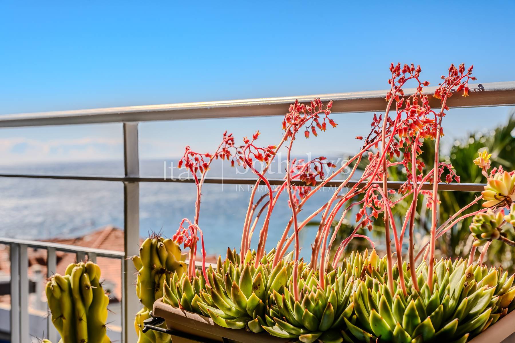  Sea view penthouse with large terrace in central Sanremo - 物件實景