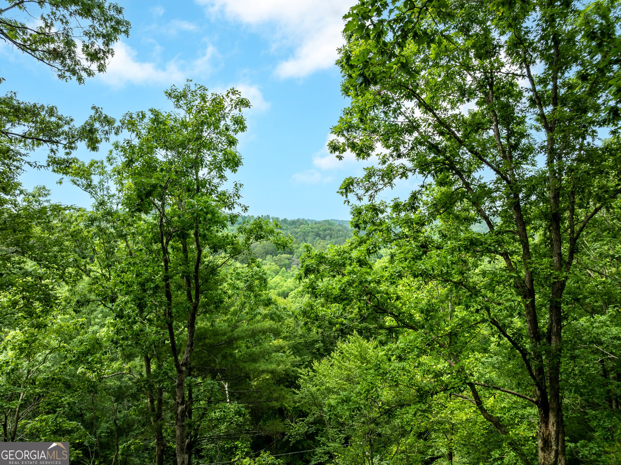 Ellijay, Georgia, 30540, United States, 4 Bedrooms Bedrooms, ,4 BathroomsBathrooms,Residential,For Sale,1859084