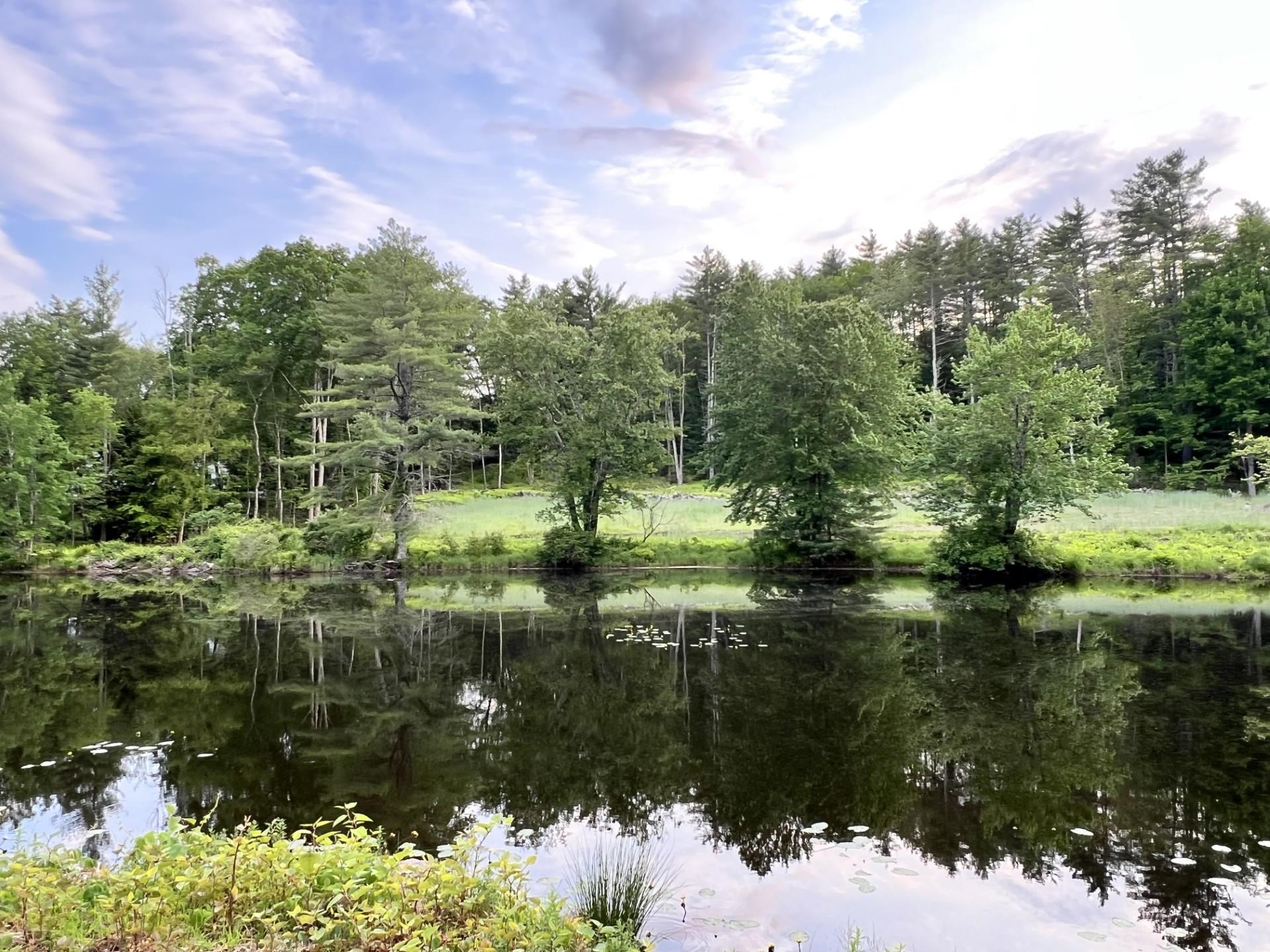 Bedford, New Hampshire, 03110, United States, 4 Bedrooms Bedrooms, ,4 BathroomsBathrooms,Residential,For Sale,1848455