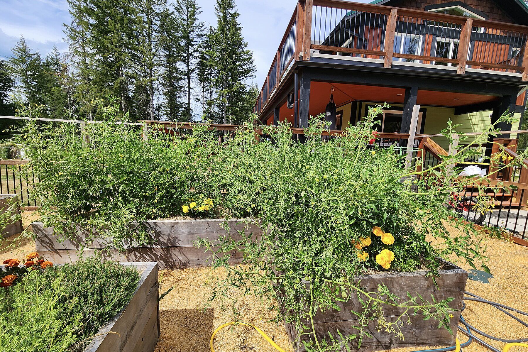  Unique & Substantial Acreage - 物件實景