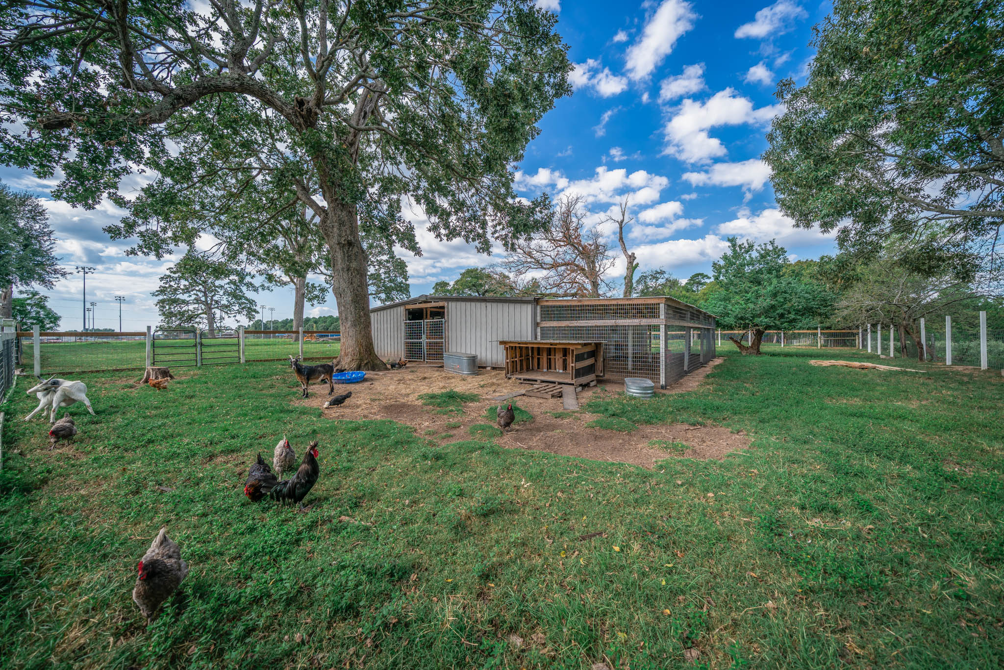 Jacksonville, Texas, 75766, United States, 4 Bedrooms Bedrooms, ,3 BathroomsBathrooms,Residential,For Sale,1975074