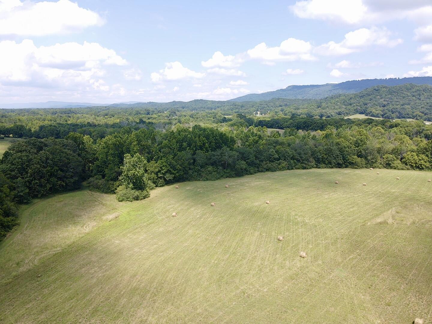 Bryant, Alabama, 35958, United States, ,Land,For Sale,1982684