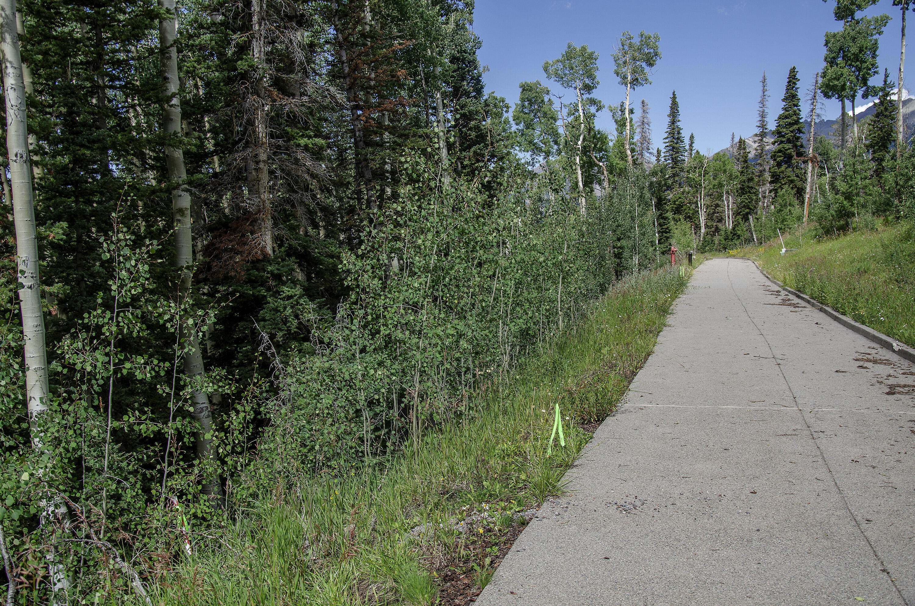 Mountain Village, Colorado, 81435, United States, ,Land,For Sale,1805145
