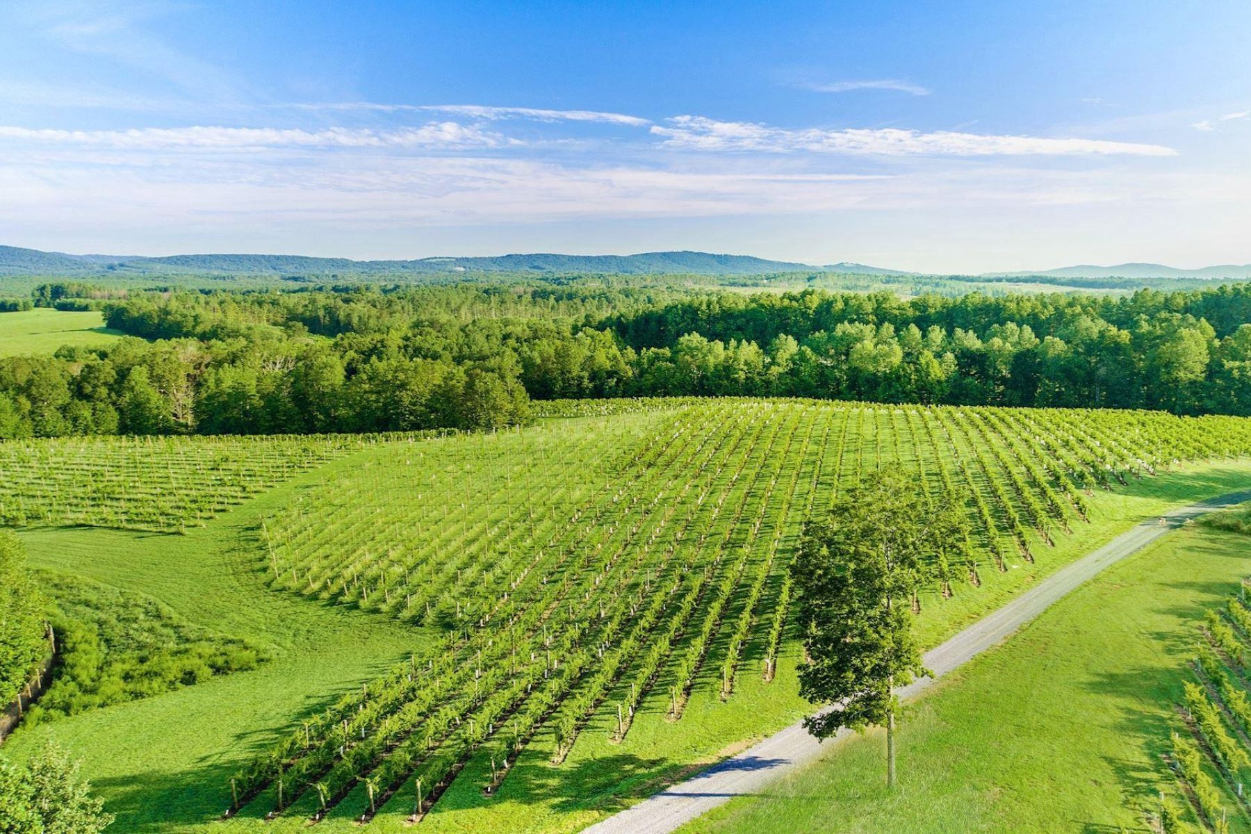  6887 Blenheim Road, Scottsville, VA, 24590 - 物件實景