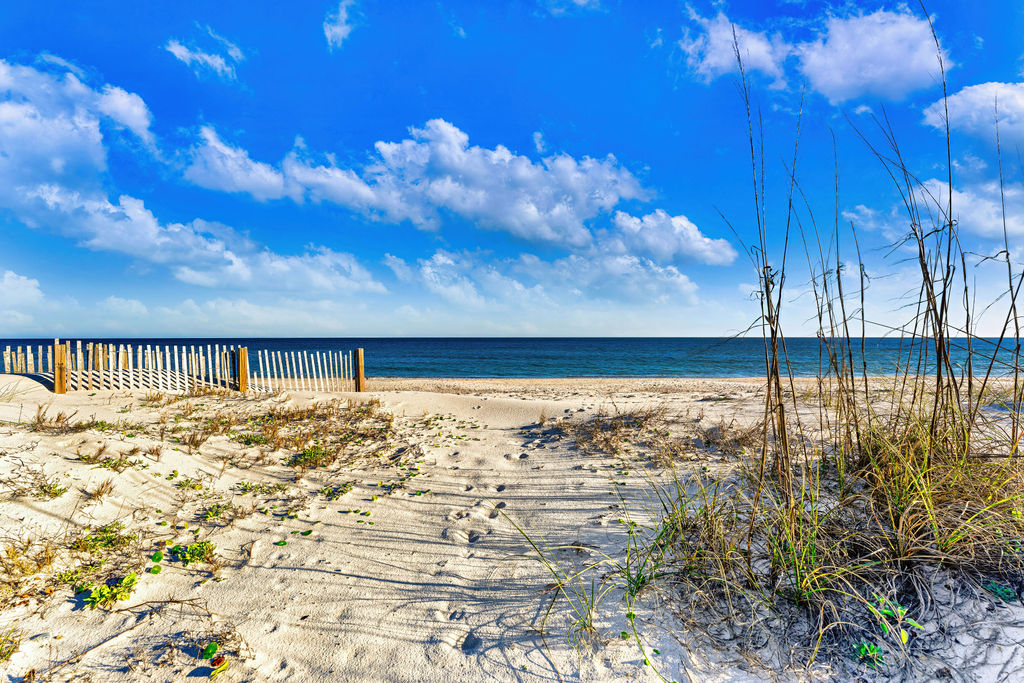 St George Island, Florida, 32328, United States, 5 Bedrooms Bedrooms, ,5 BathroomsBathrooms,Residential,For Sale,1978441
