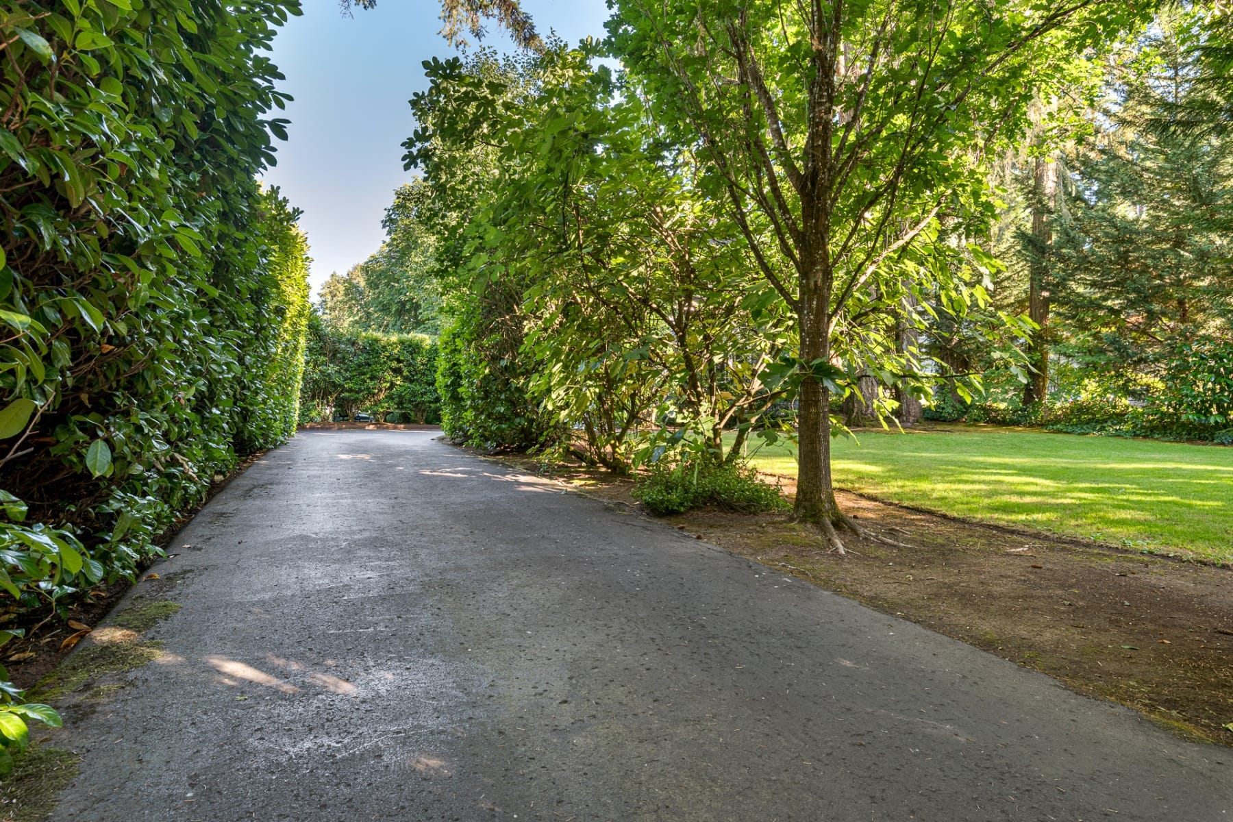 17332 LAKE HAVEN DR Lake Oswego, OR 97035 - 物件實景