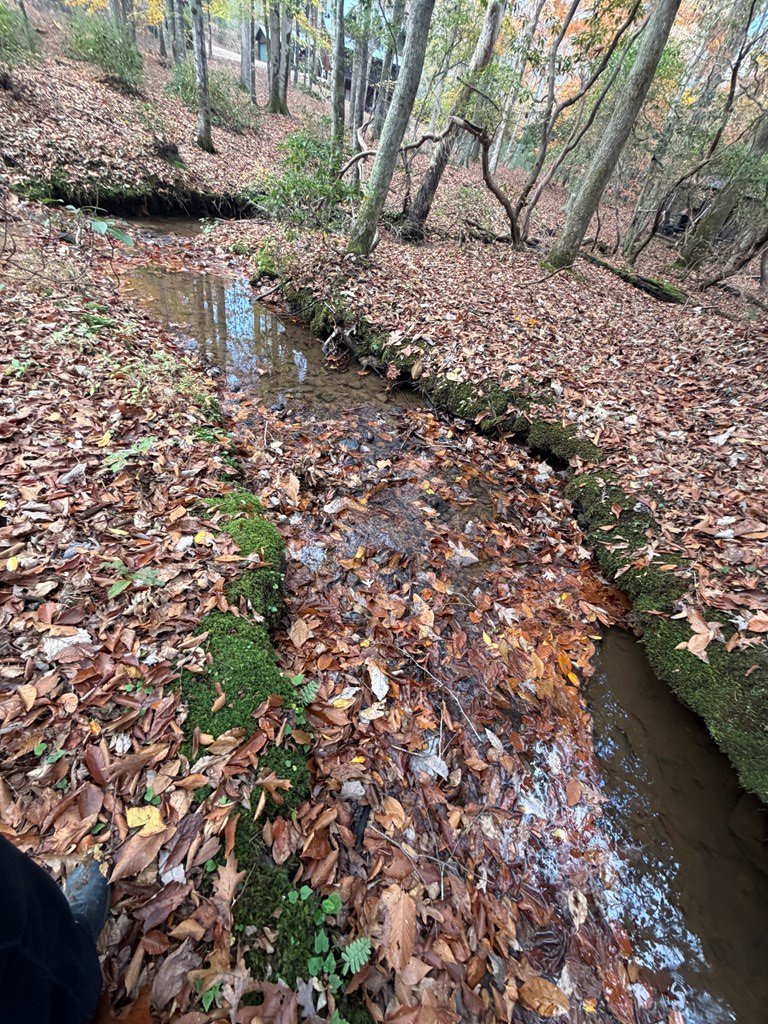 Blue Ridge, Georgia, 30513, United States, 3 Bedrooms Bedrooms, ,3 BathroomsBathrooms,Residential,For Sale,1995238