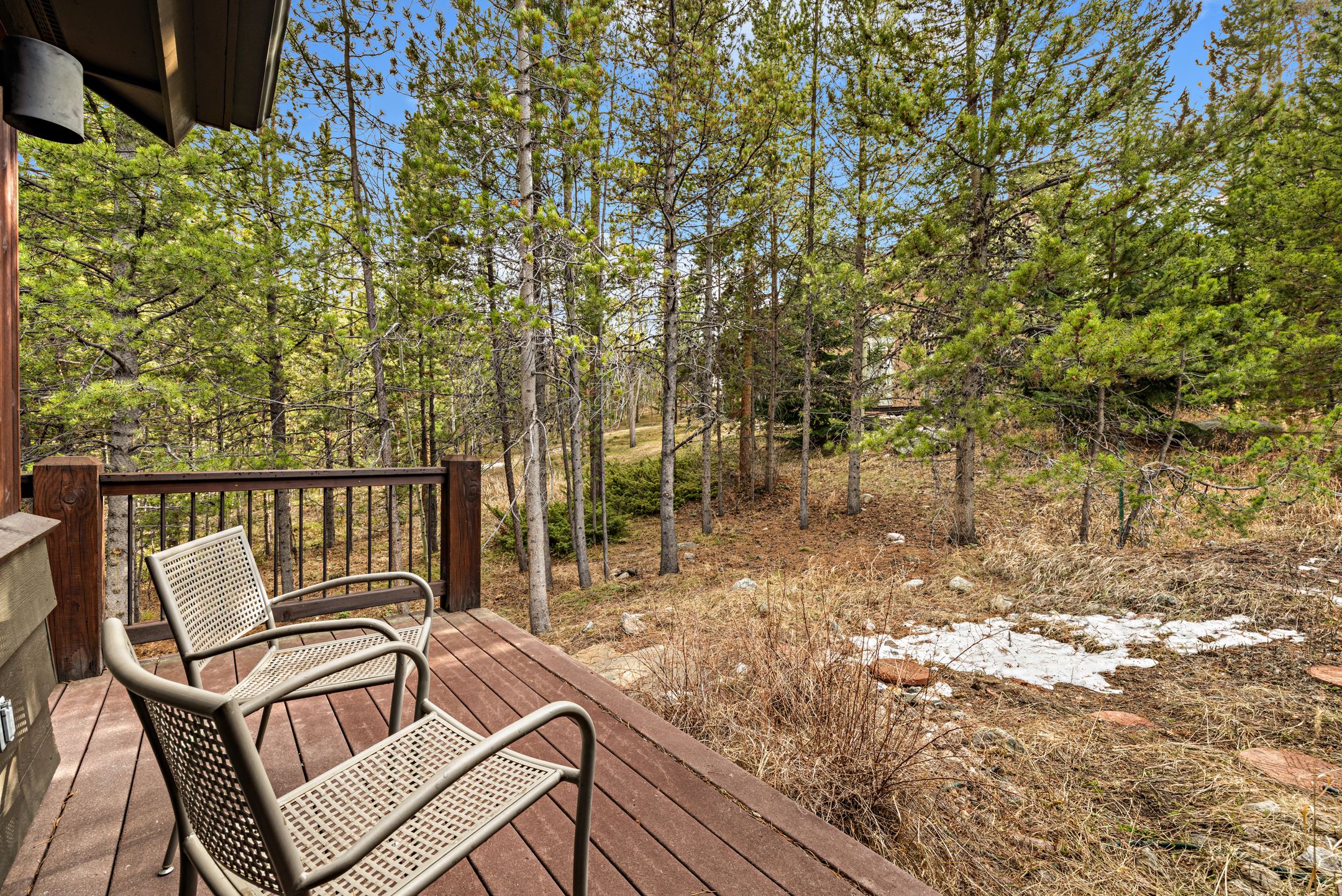  1793 Falcon Drive, Silverthorne, CO, 80498 - 物件實景